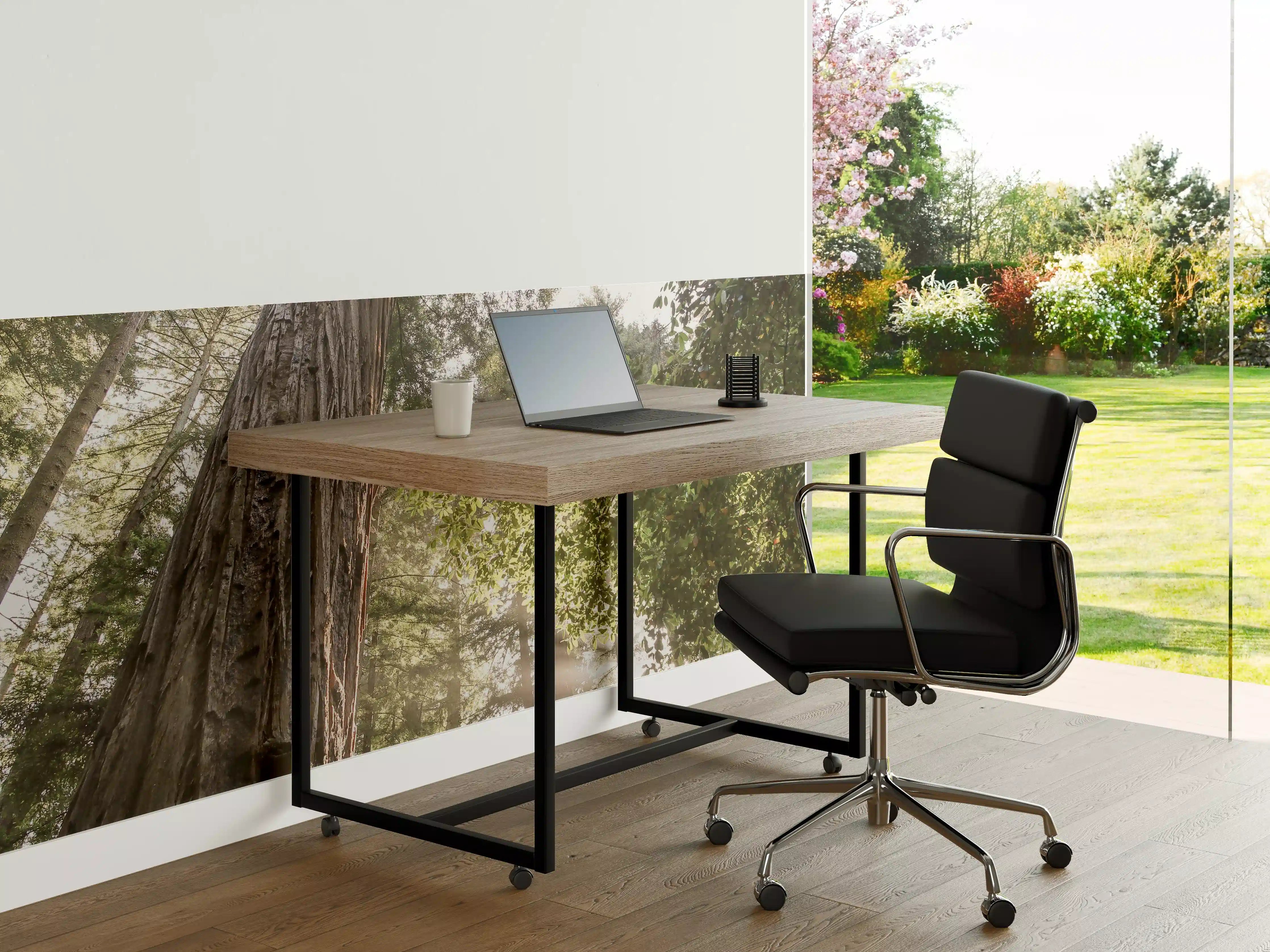 Büro Wandgestaltung - Grauer Baum im Sonnenstrahl