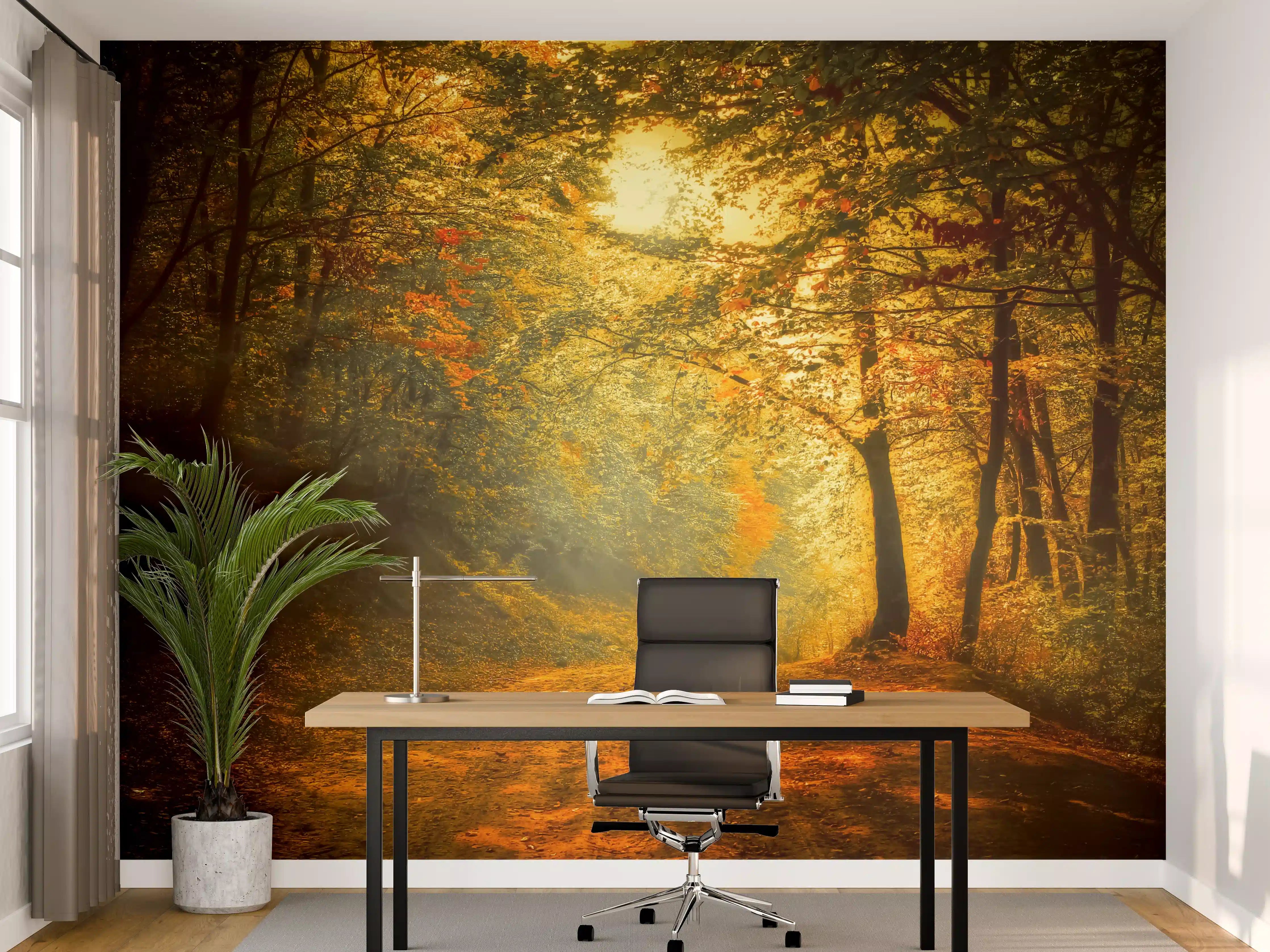 Büro Wandgestaltung - Grauer Pfad im Abendlicht