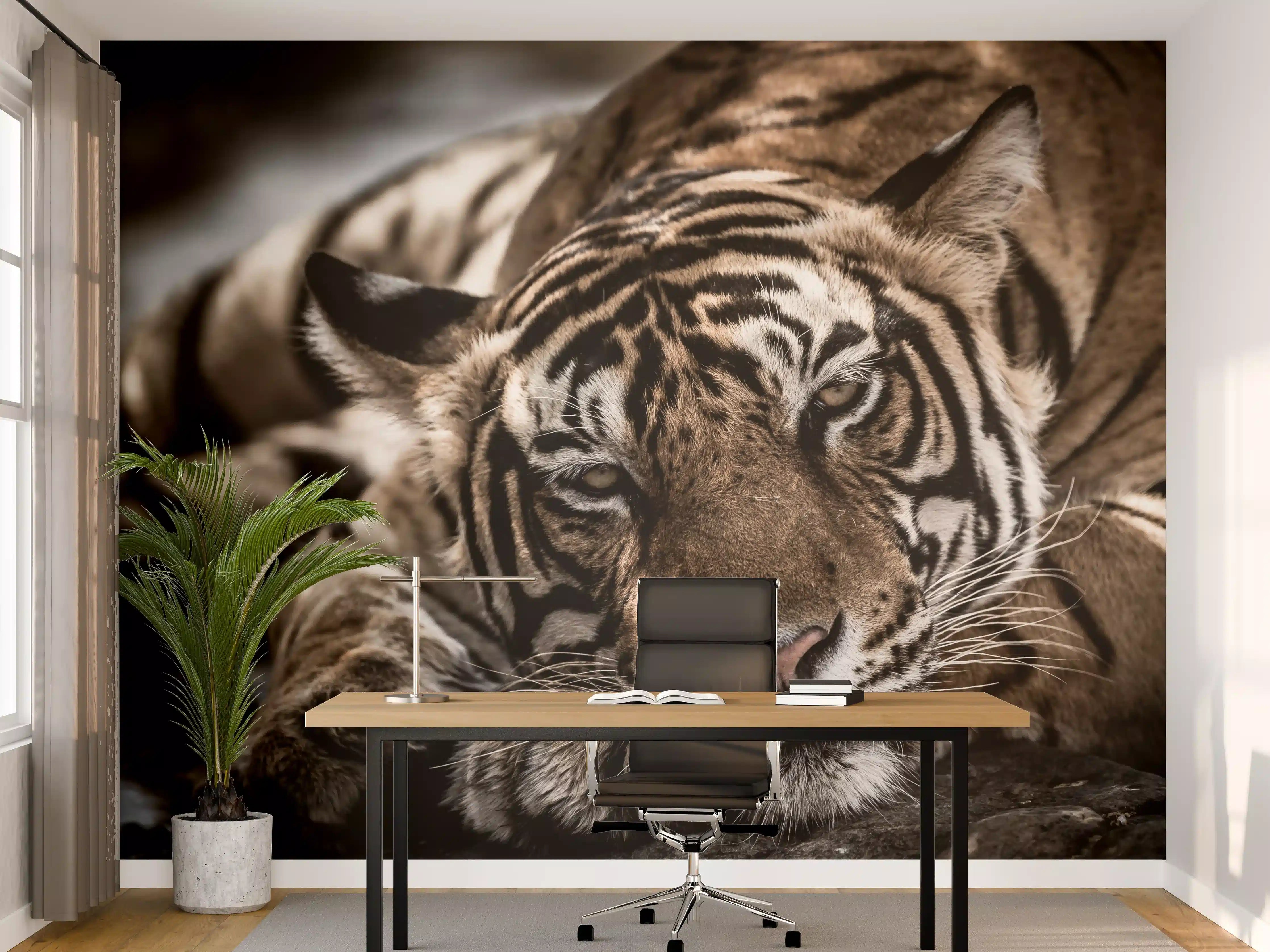 Büro Wandgestaltung - Grauer Tiger in stiller Eleganz