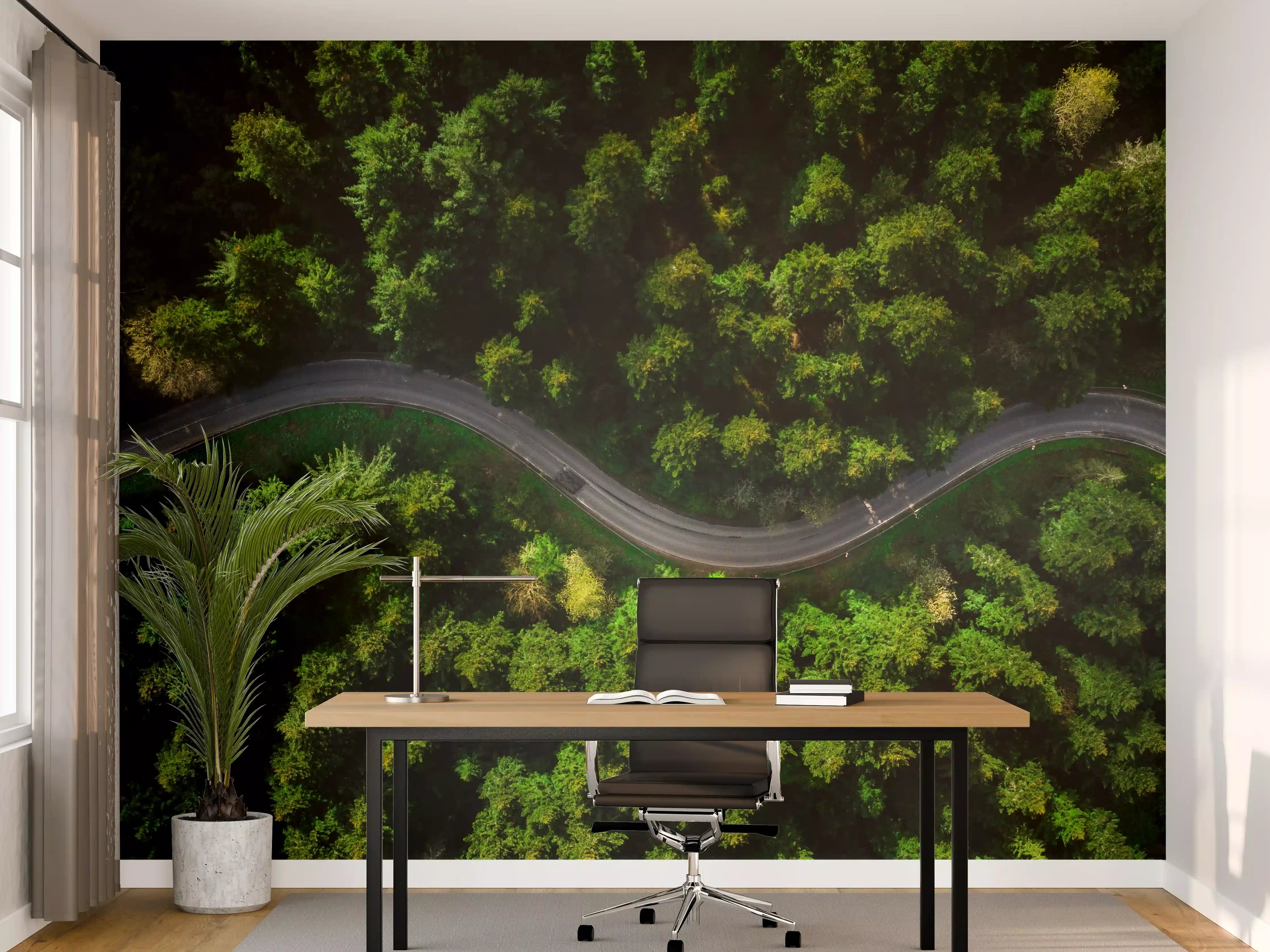 Büro Wandgestaltung - Grauer Waldweg im Nebel