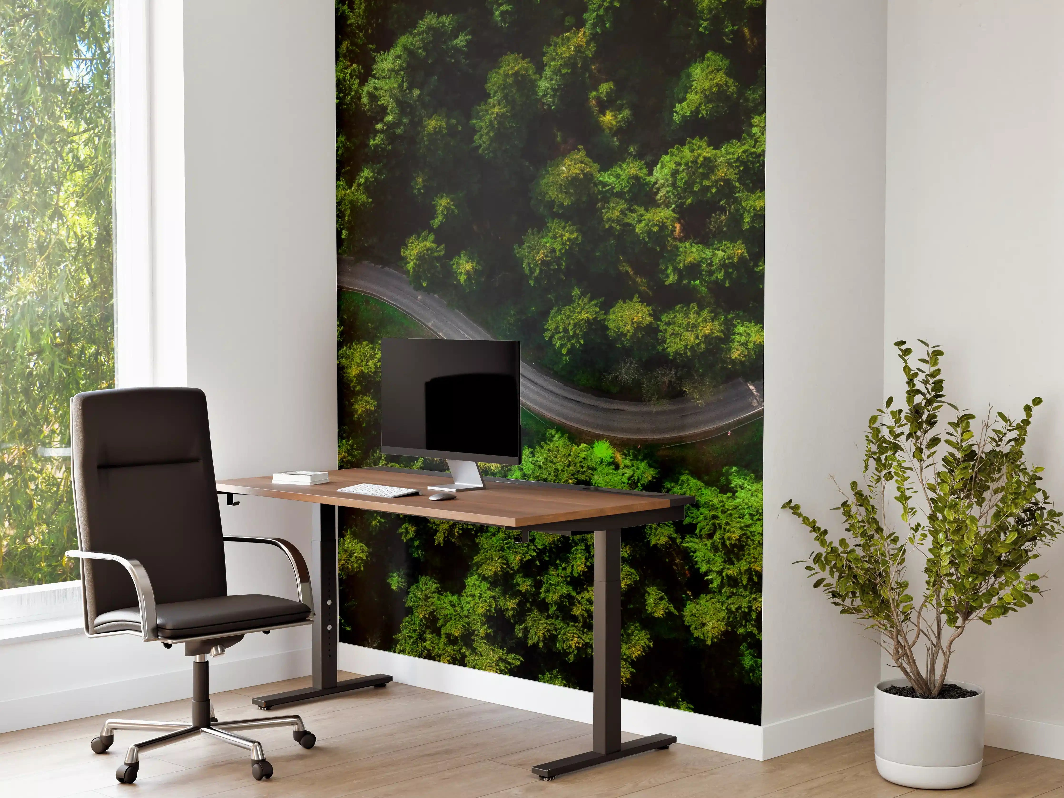 Büro Wandgestaltung - Grauer Waldweg im Nebel