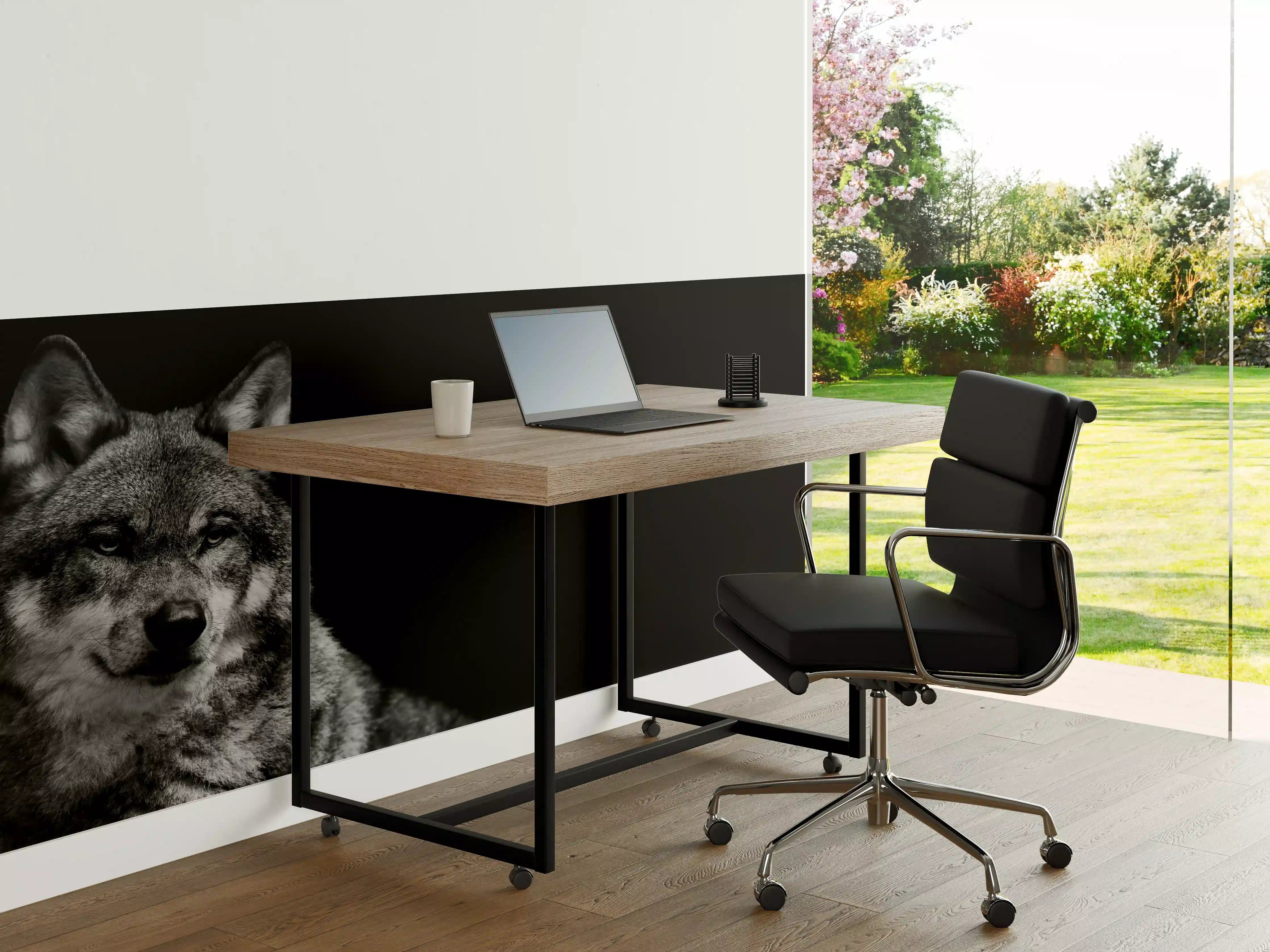 Büro Wandgestaltung - Grauer Wolf auf schwarzem Hintergrund