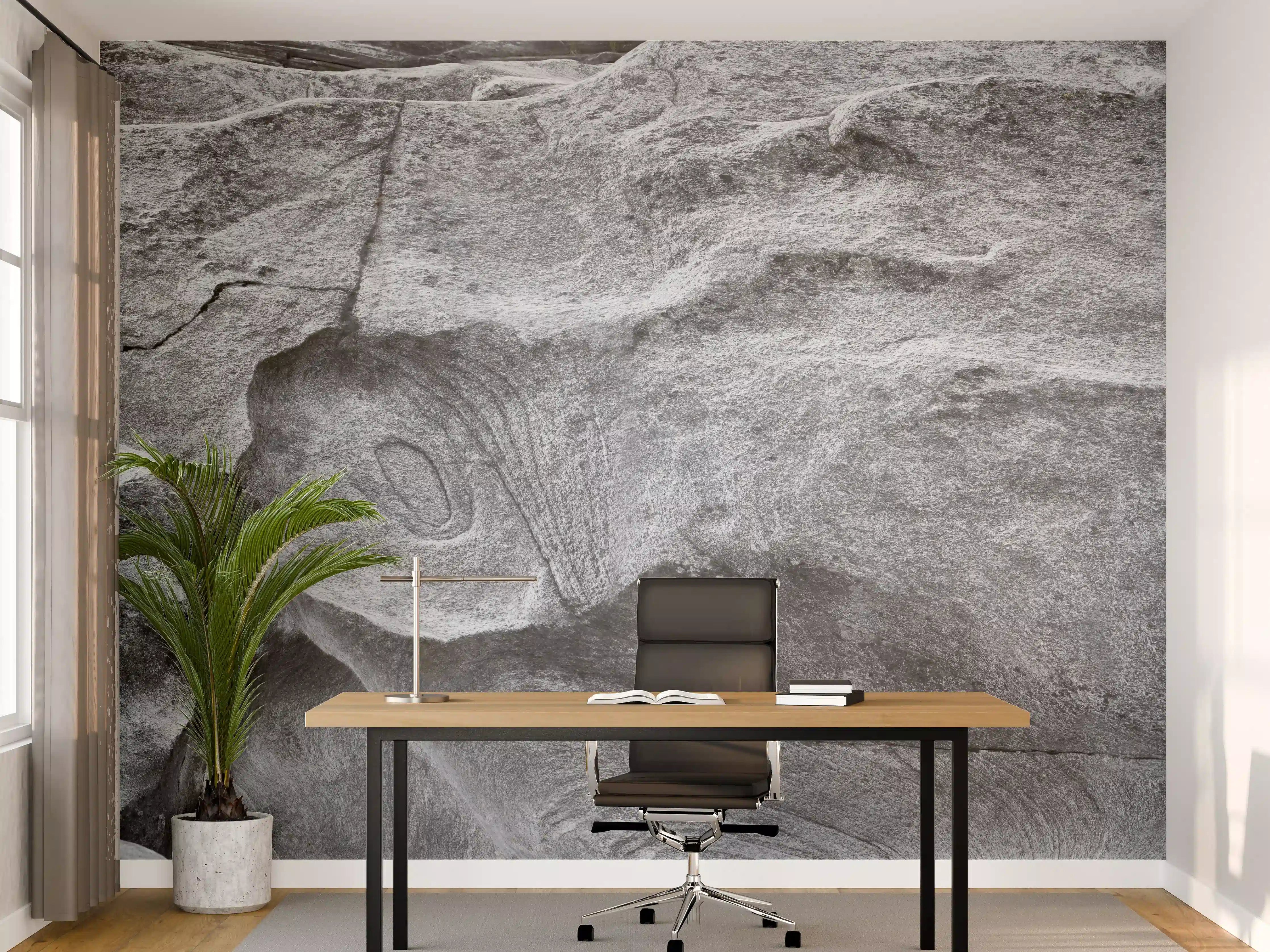 Büro Wandgestaltung - Grauschattierter Verzasca-Felsen