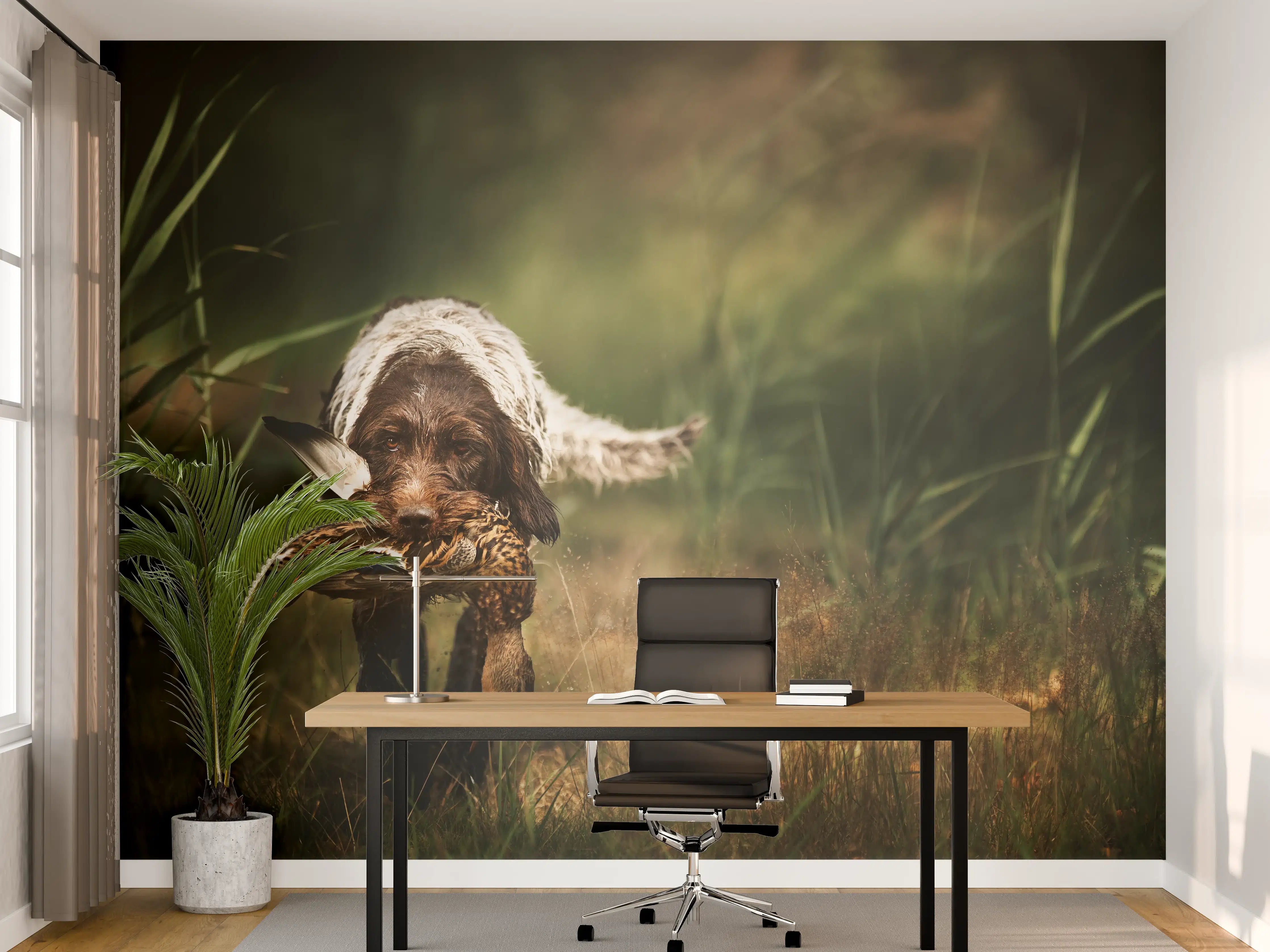 Büro Wandgestaltung - Griffon Korthals beim Apportieren einer Ente