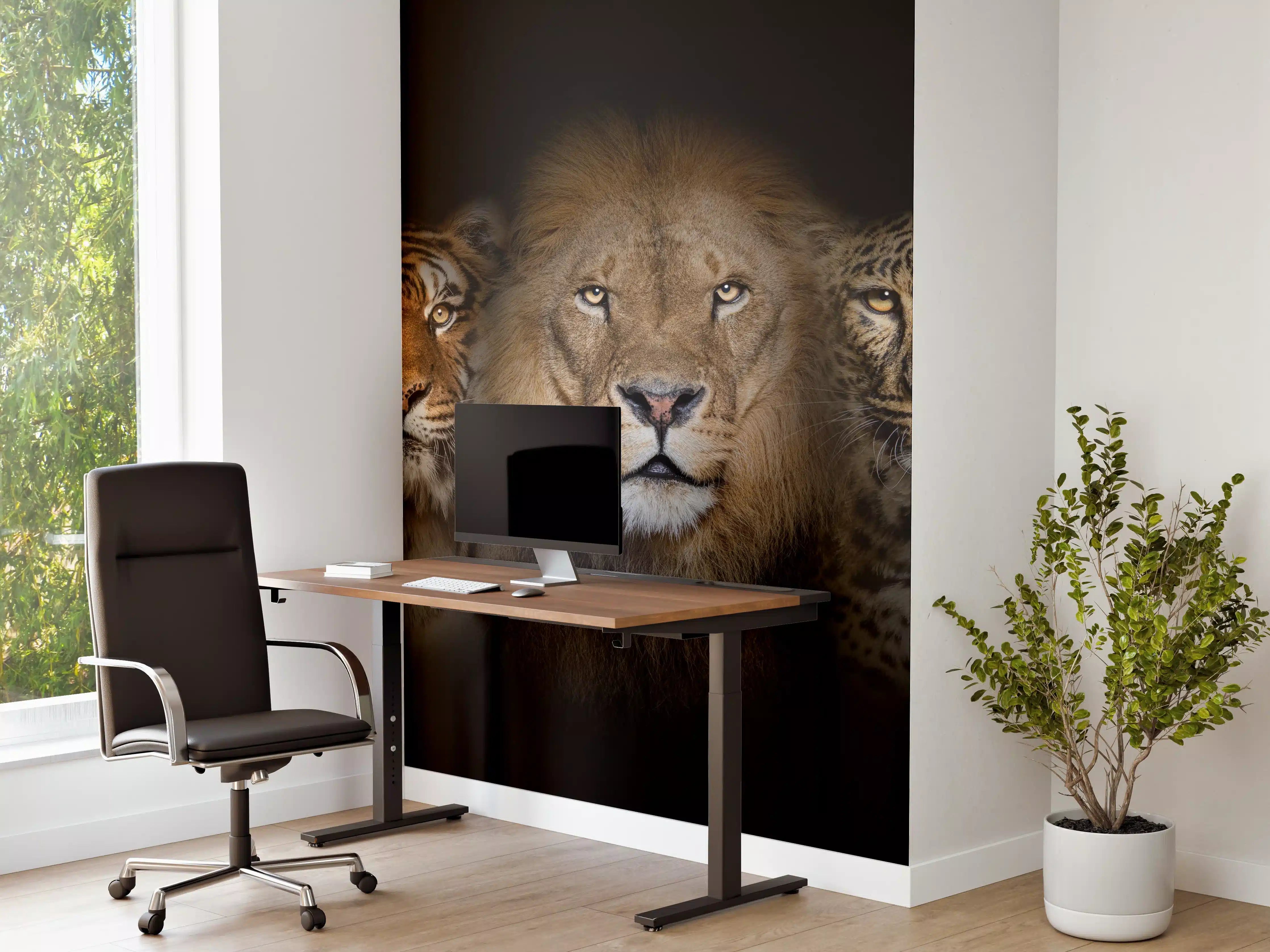 Büro Wandgestaltung - Großkatzen