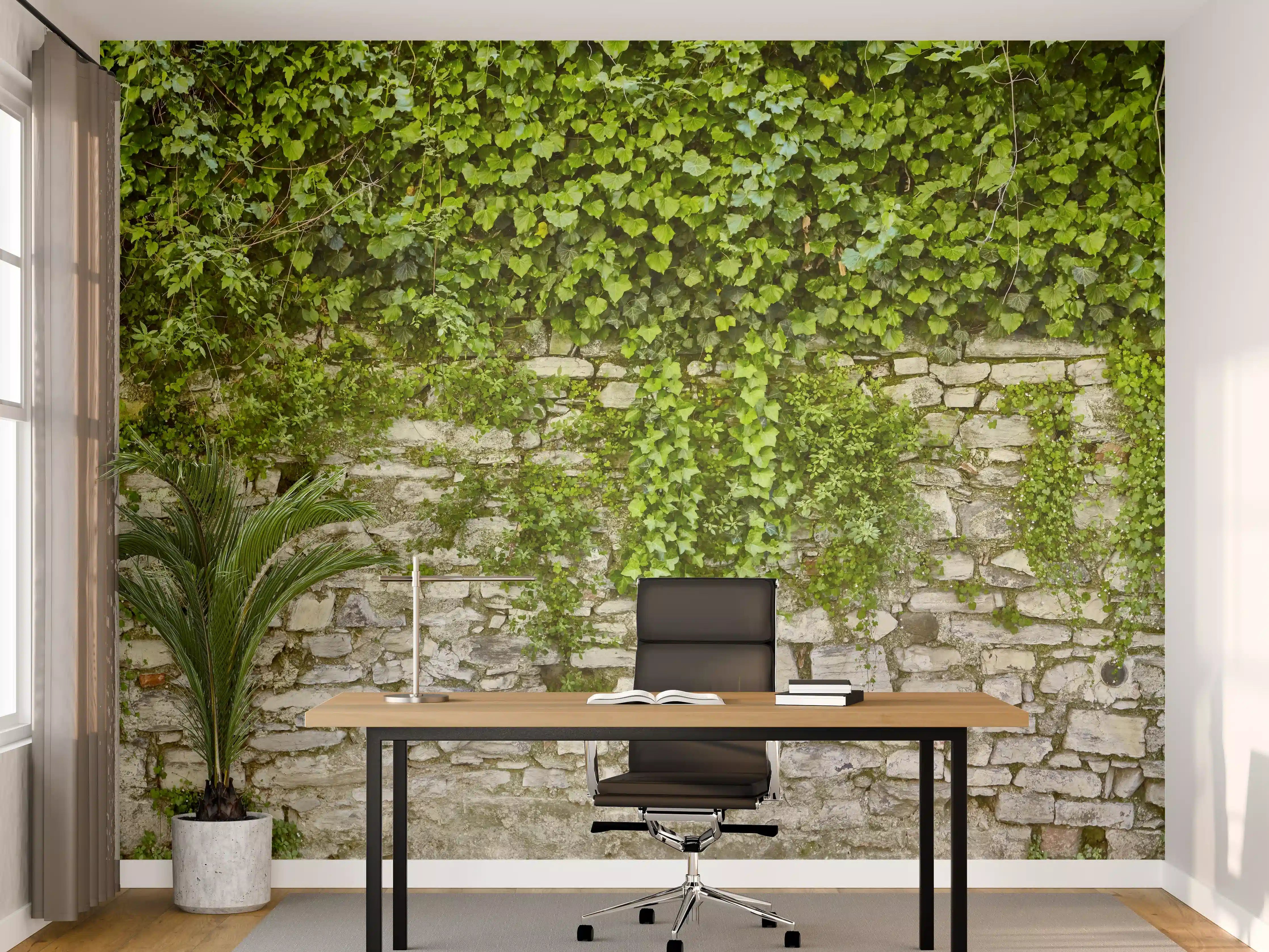 Büro Wandgestaltung - Grün überwucherte Burgmauer