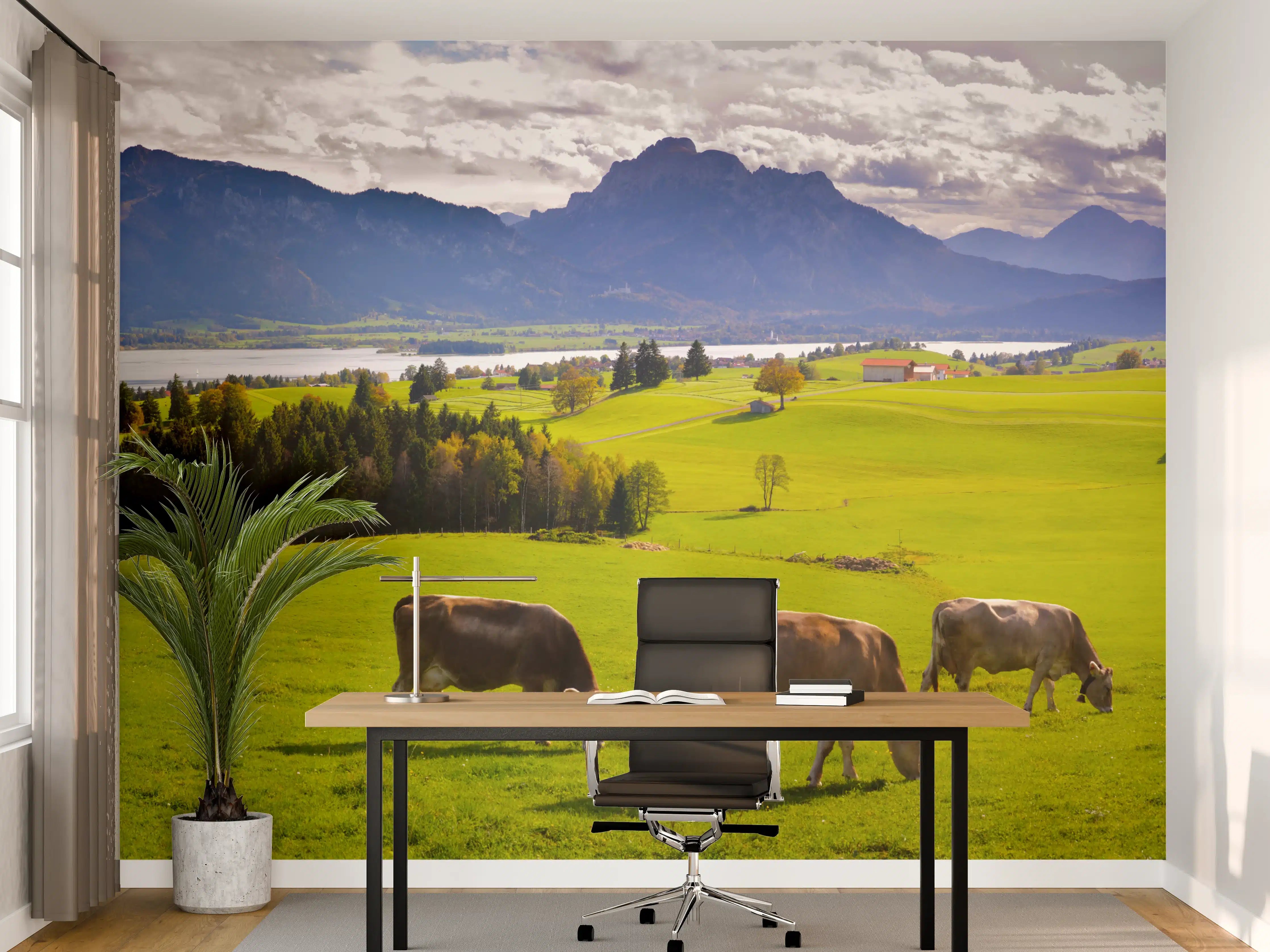 Büro Wandgestaltung - Grüne Bergwiese mit Kühen