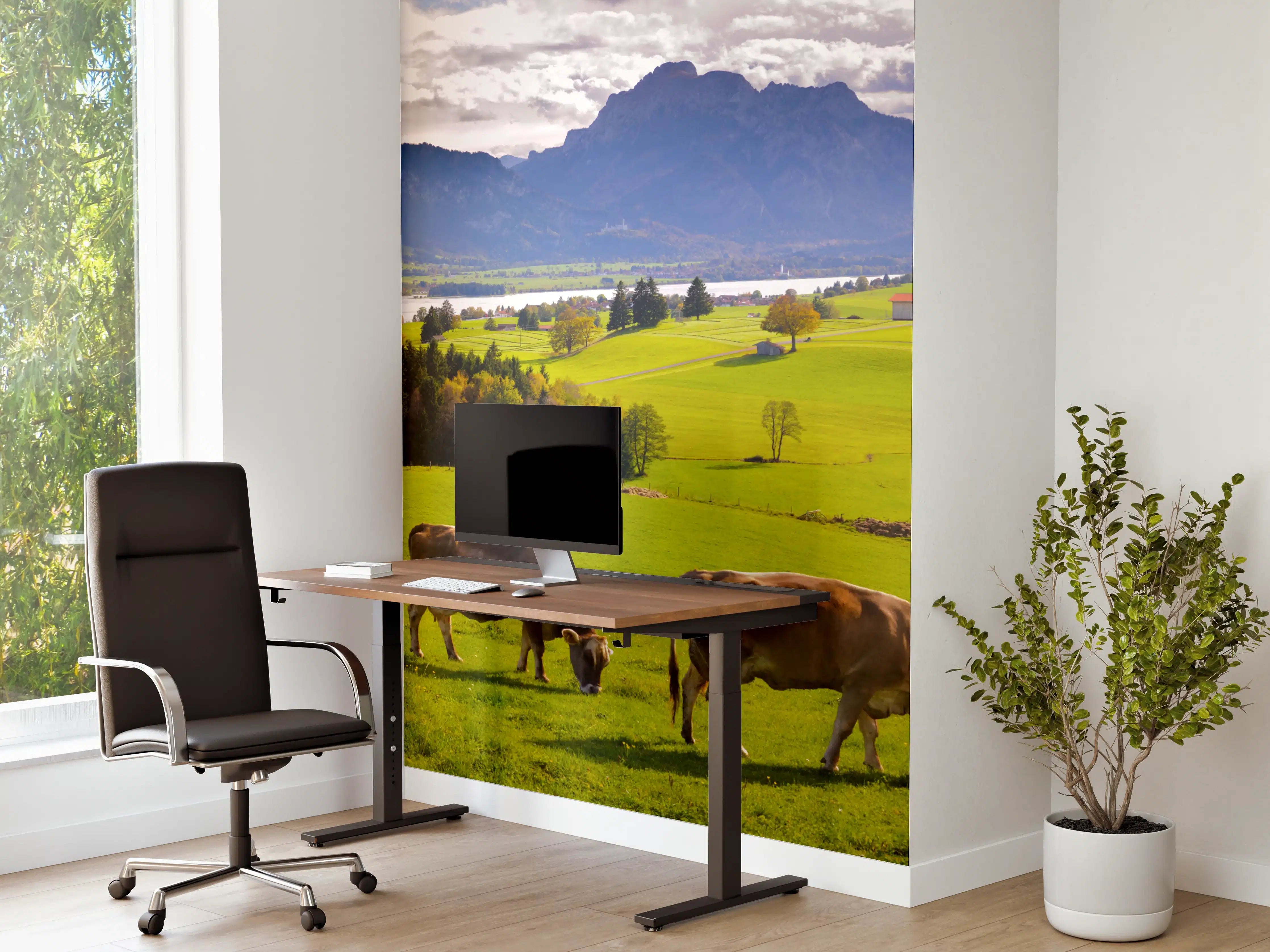 Büro Wandgestaltung - Grüne Bergwiese mit Kühen