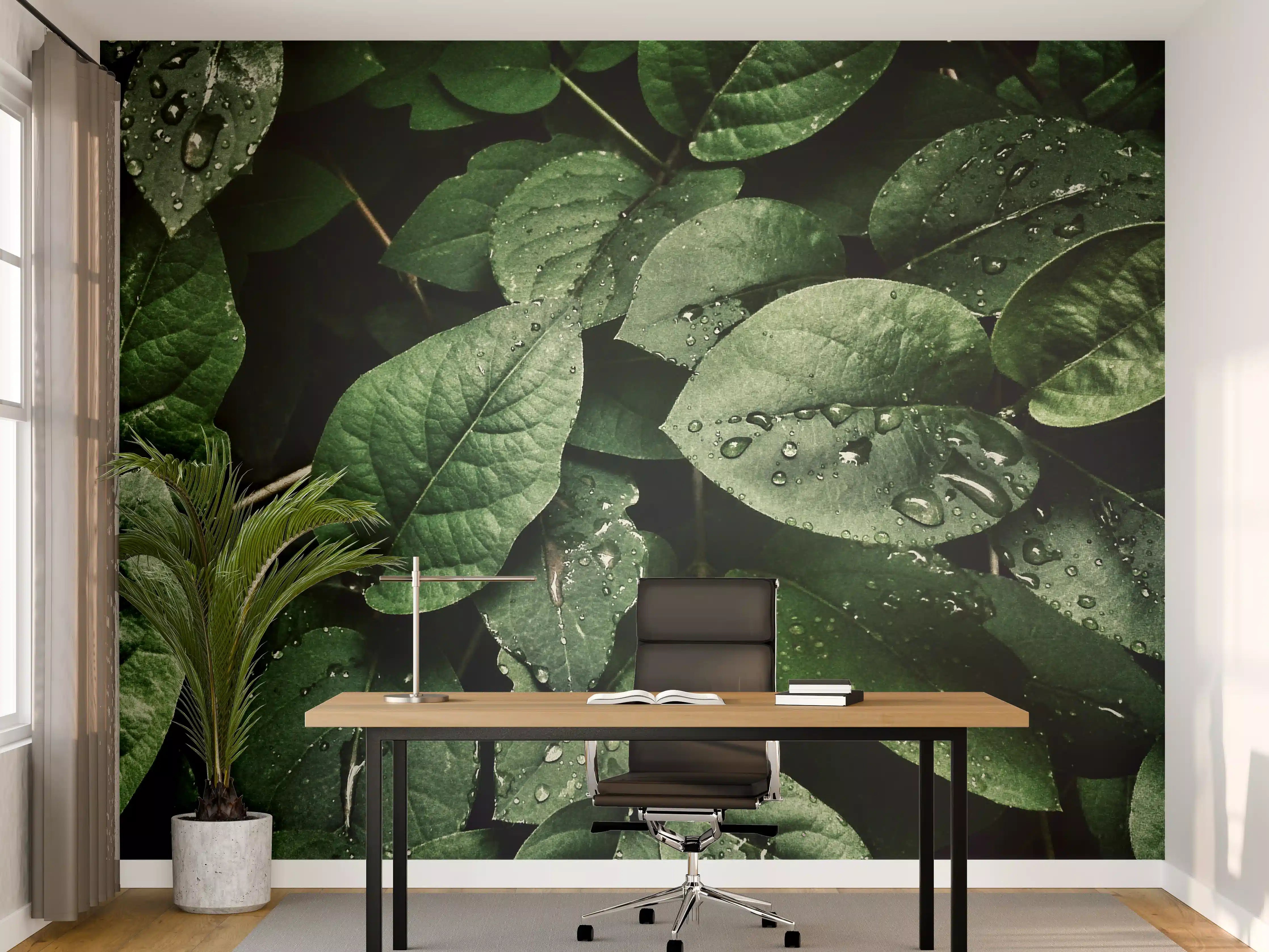 Büro Wandgestaltung - Grüne Blätter mit Wassertropfen