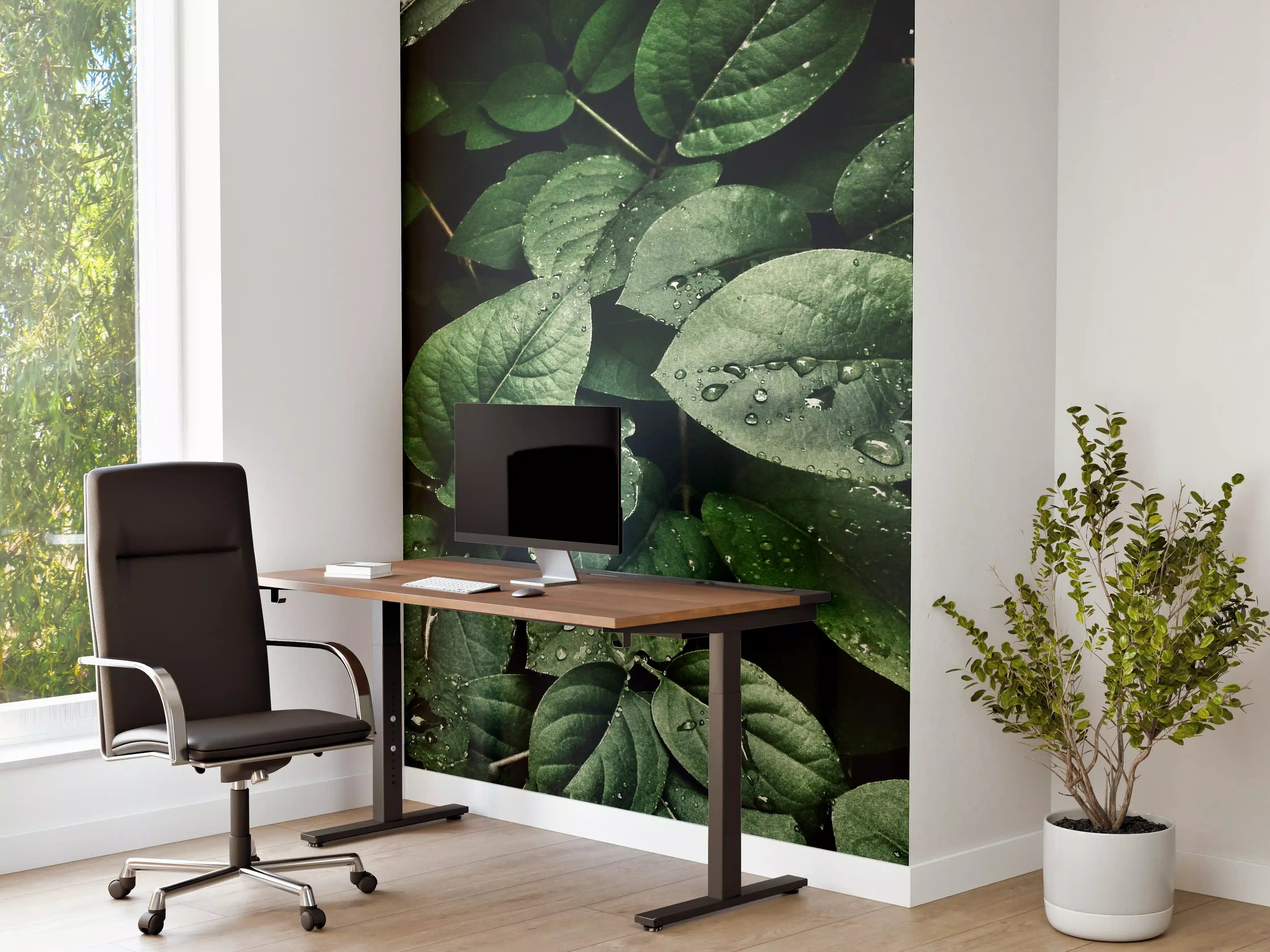 Büro Wandgestaltung - Grüne Blätter mit Wassertropfen