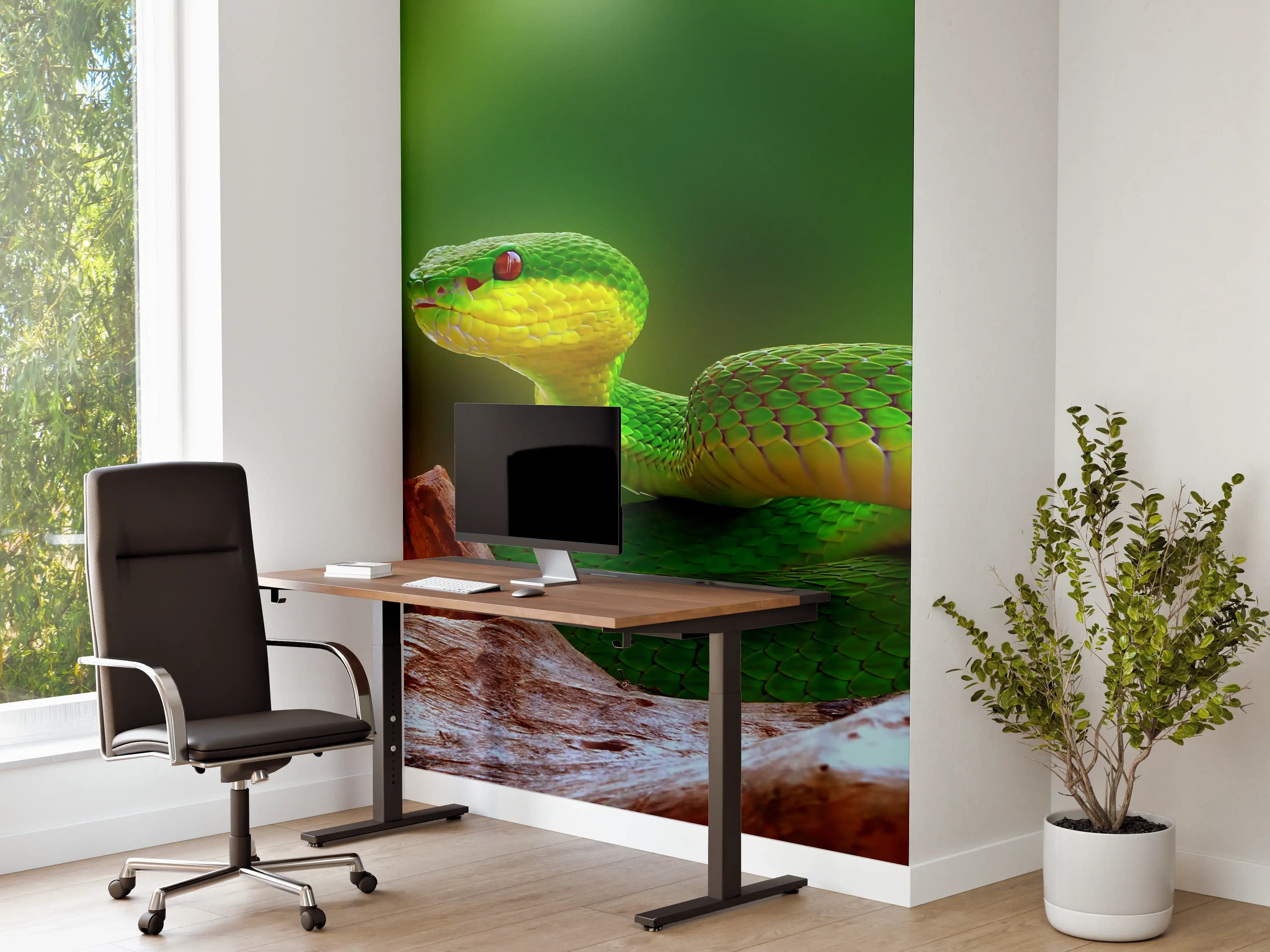 Büro Wandgestaltung - Grüne Inselvipernatter