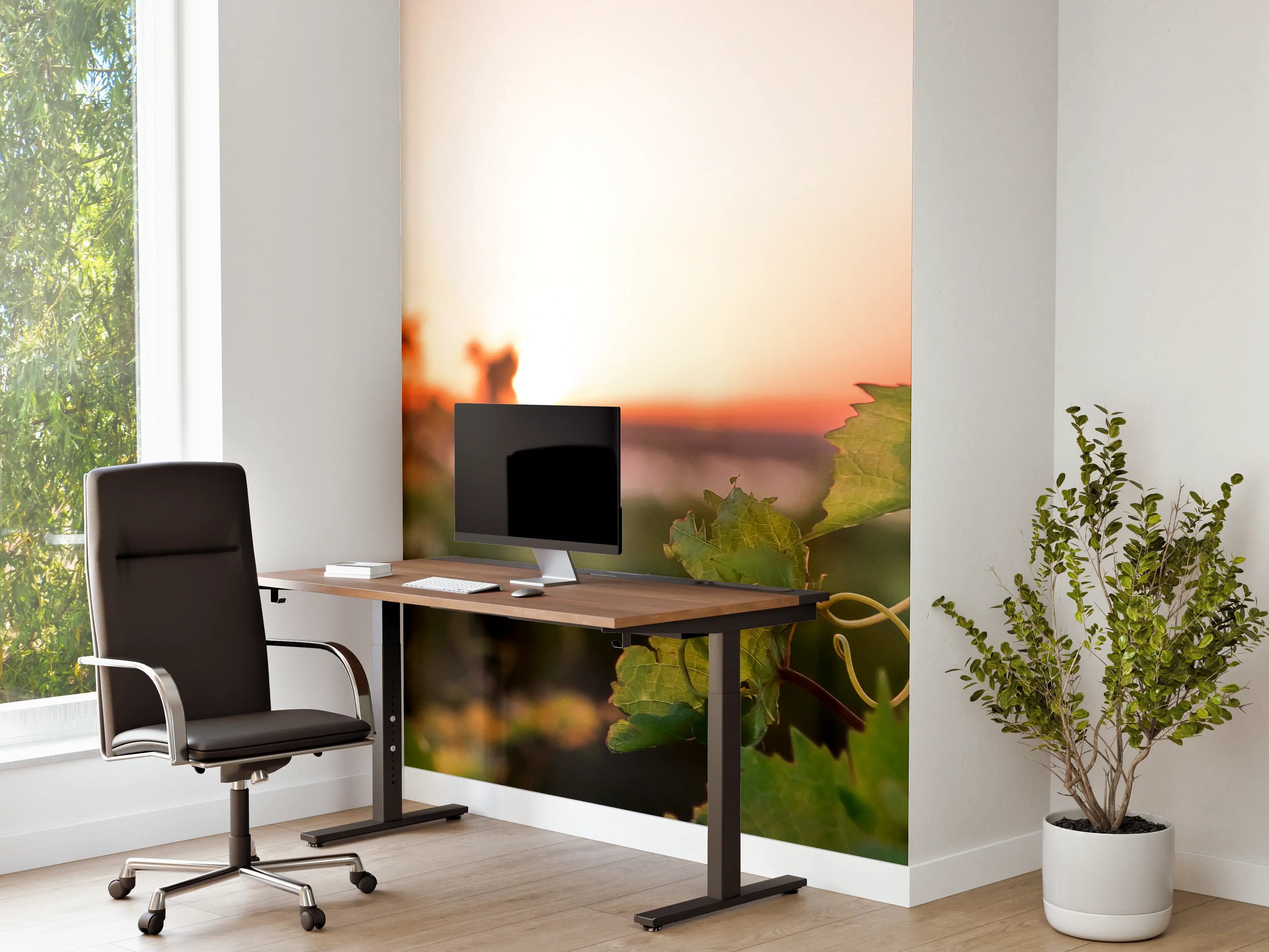 Büro Wandgestaltung - Grüne Weinreben bei Sonnenuntergang
