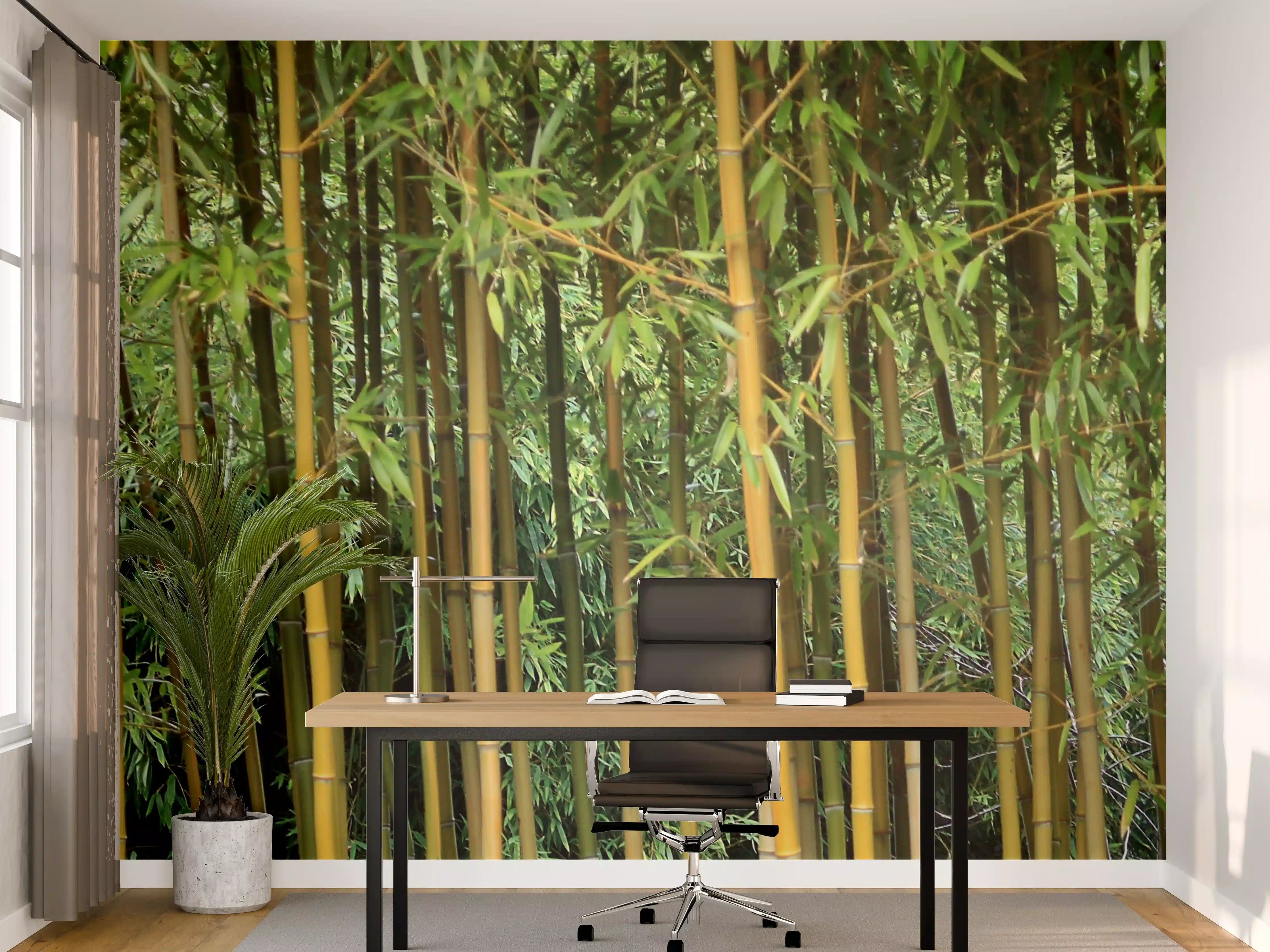 Büro Wandgestaltung - Grüner Bambuswald in Naturfotografie