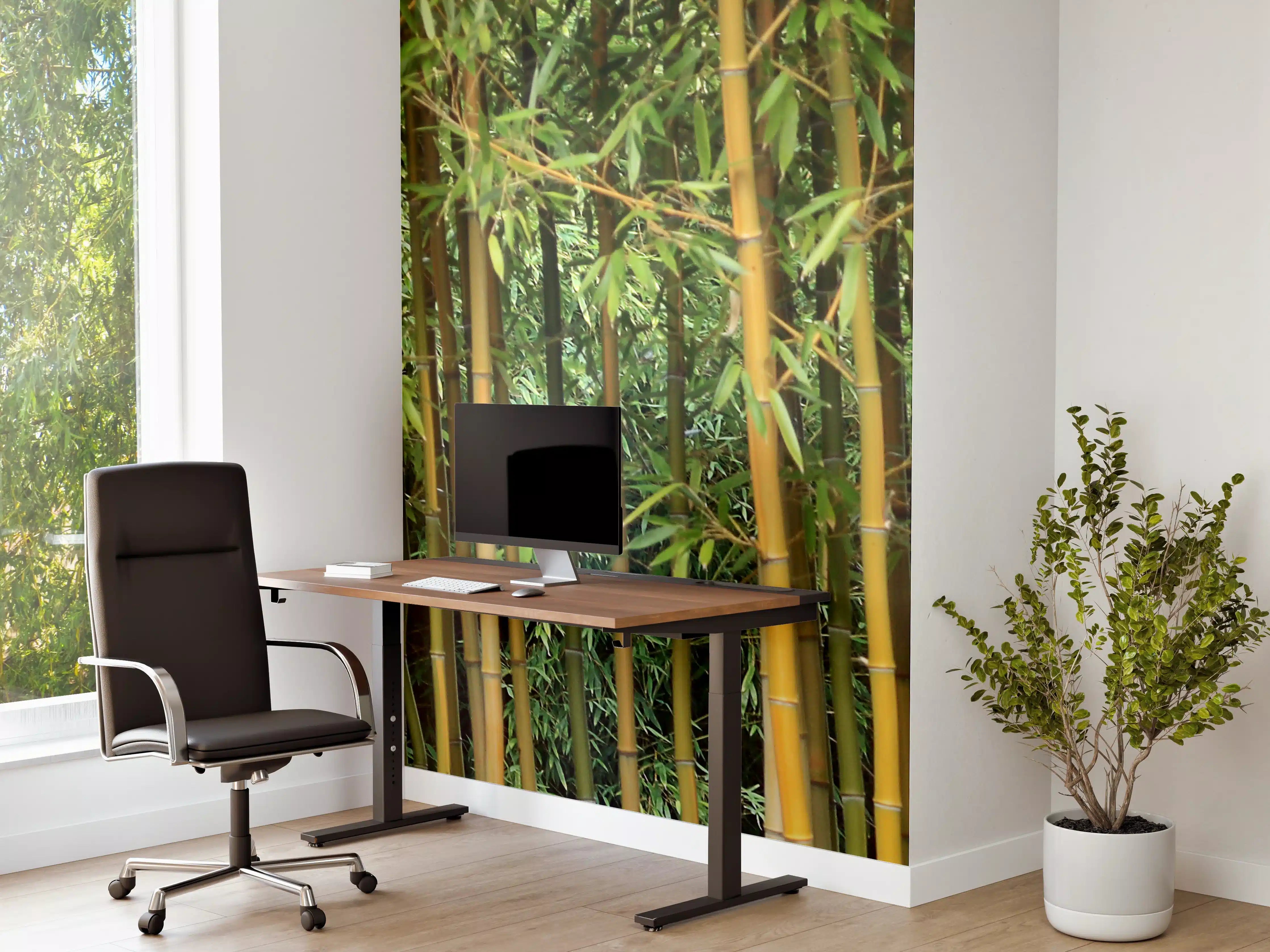 Büro Wandgestaltung - Grüner Bambuswald in Naturfotografie
