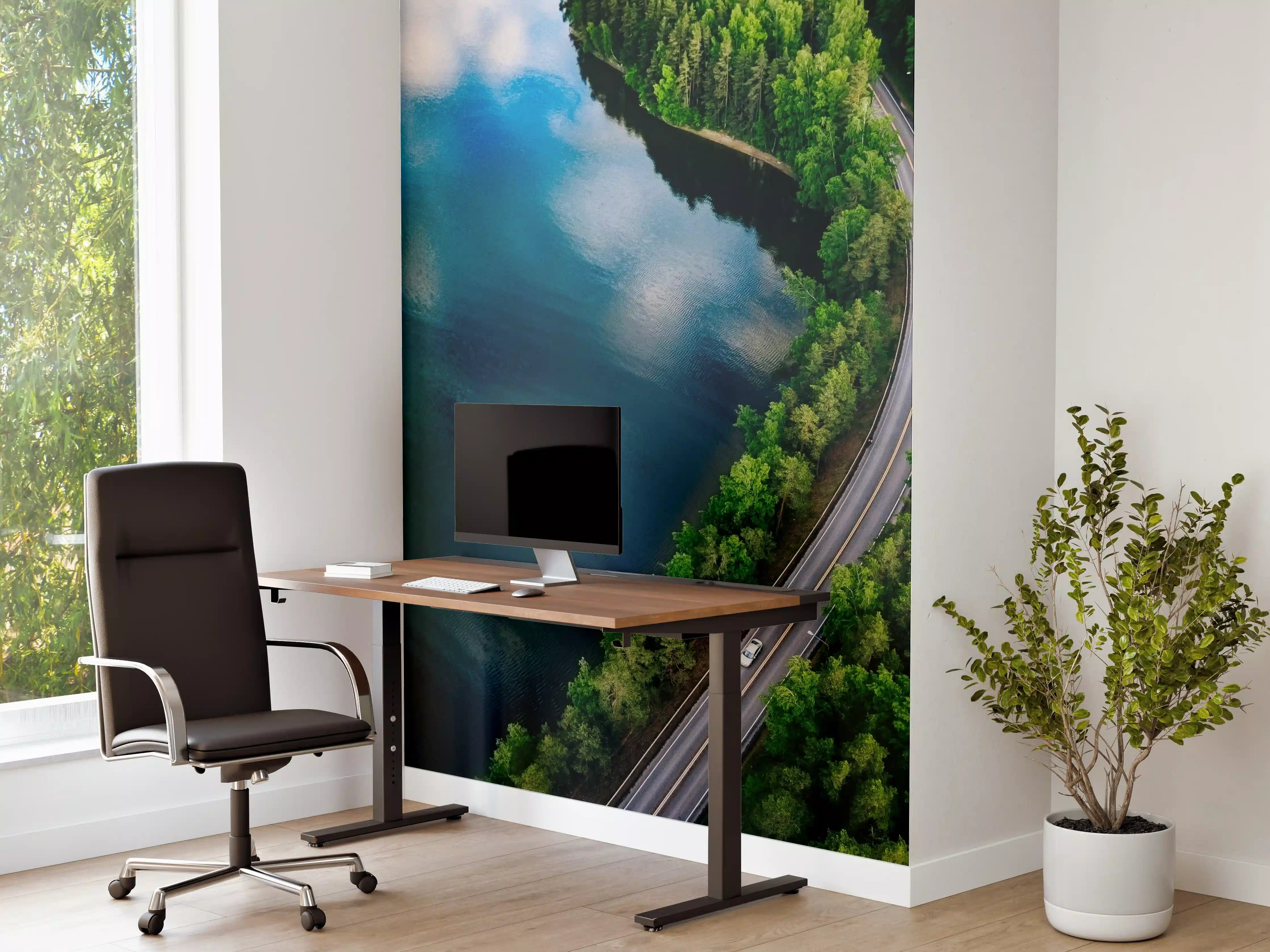Büro Wandgestaltung - Grüner Waldsee mit Panoramastraße