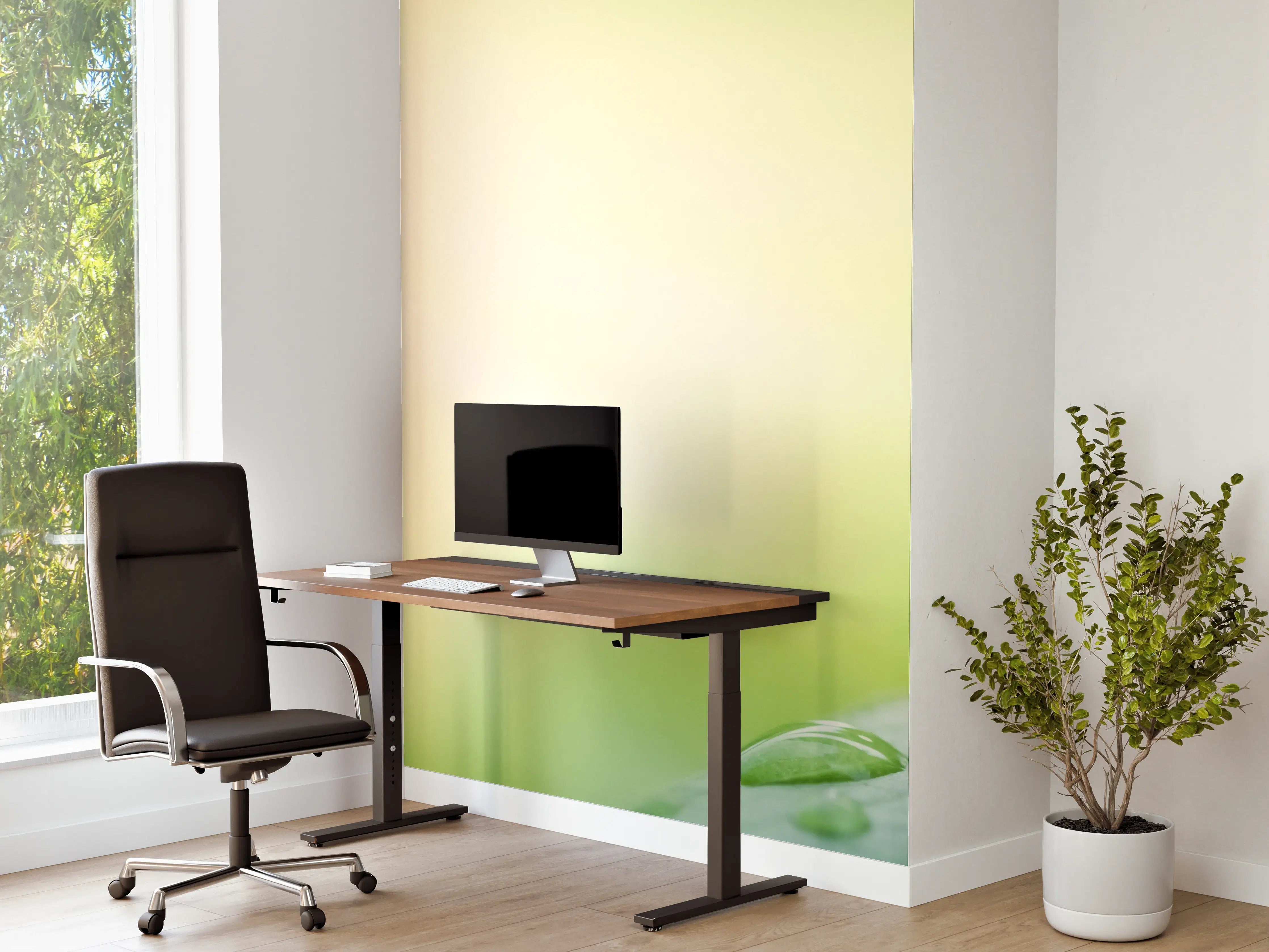 Büro Wandgestaltung - Grünes Blatt Regentropfen Sommer