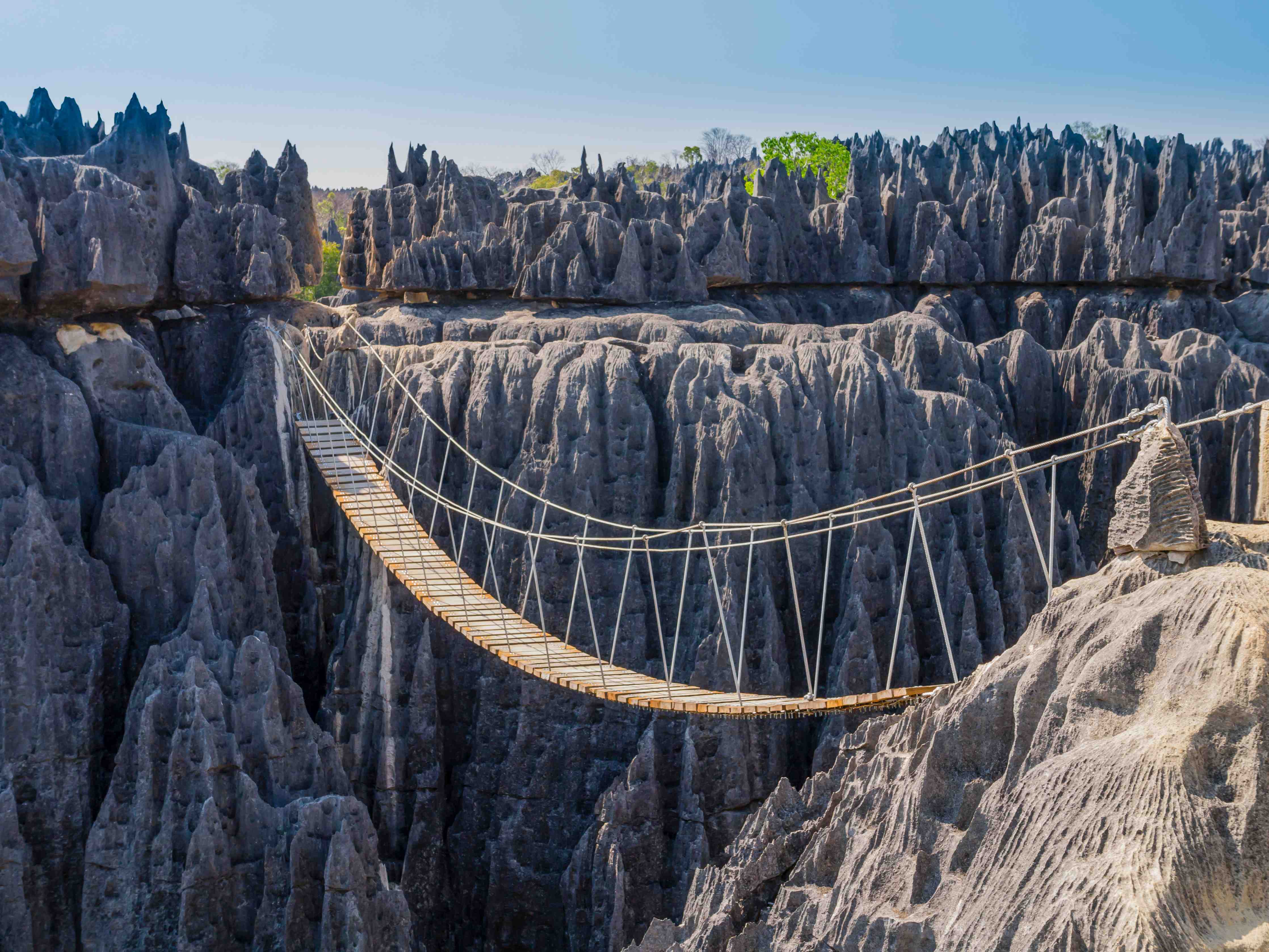 Büro Wandgestaltung-Hängebrücke Tsingy Madagascar