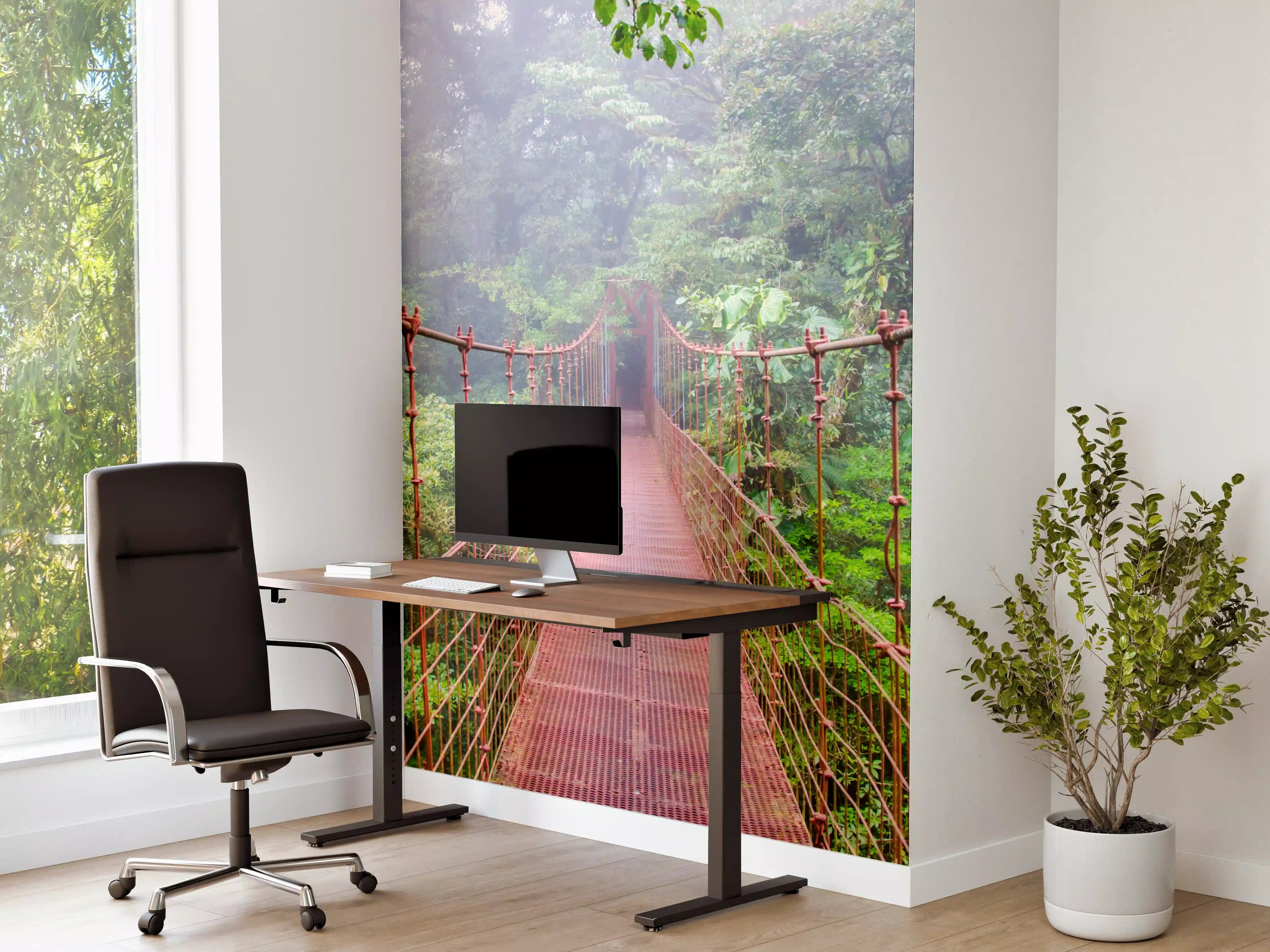 Büro Wandgestaltung - Hängebrücke im Regenwald Costa Rica
