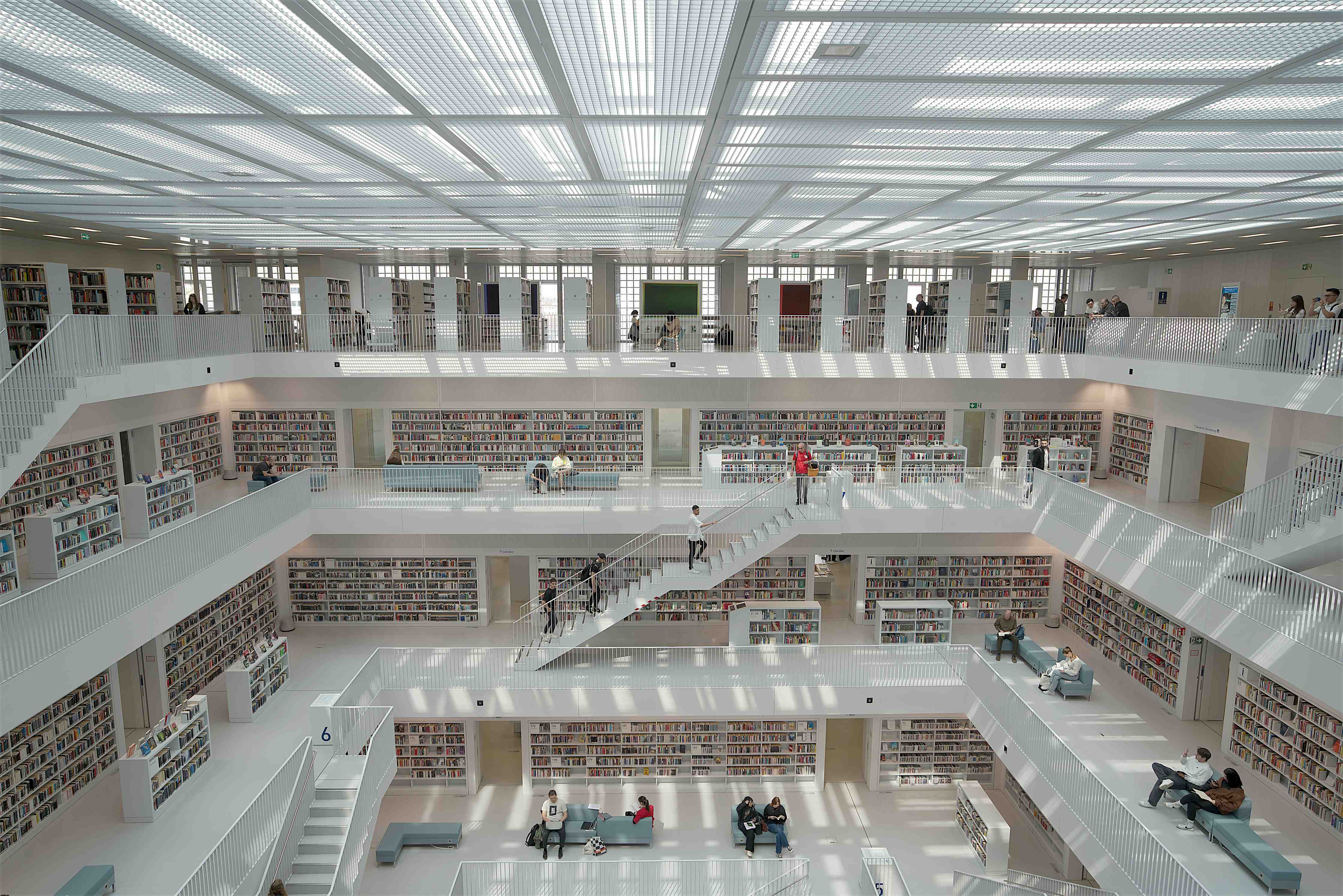 Büro Wandgestaltung-Helle Bibliothek in Stuttgart