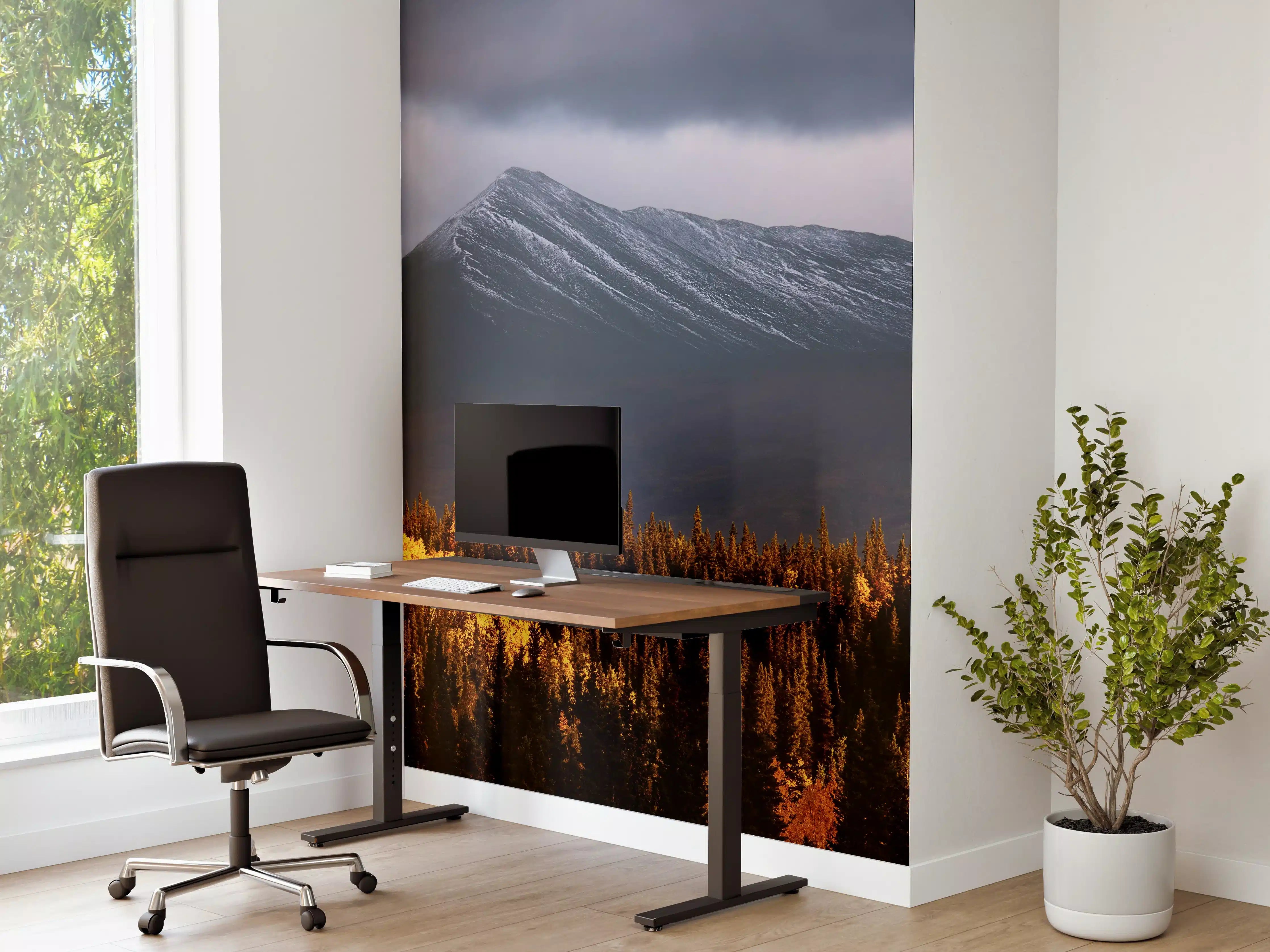 Büro Wandgestaltung - Herbst Berge Wald Lichtspiel