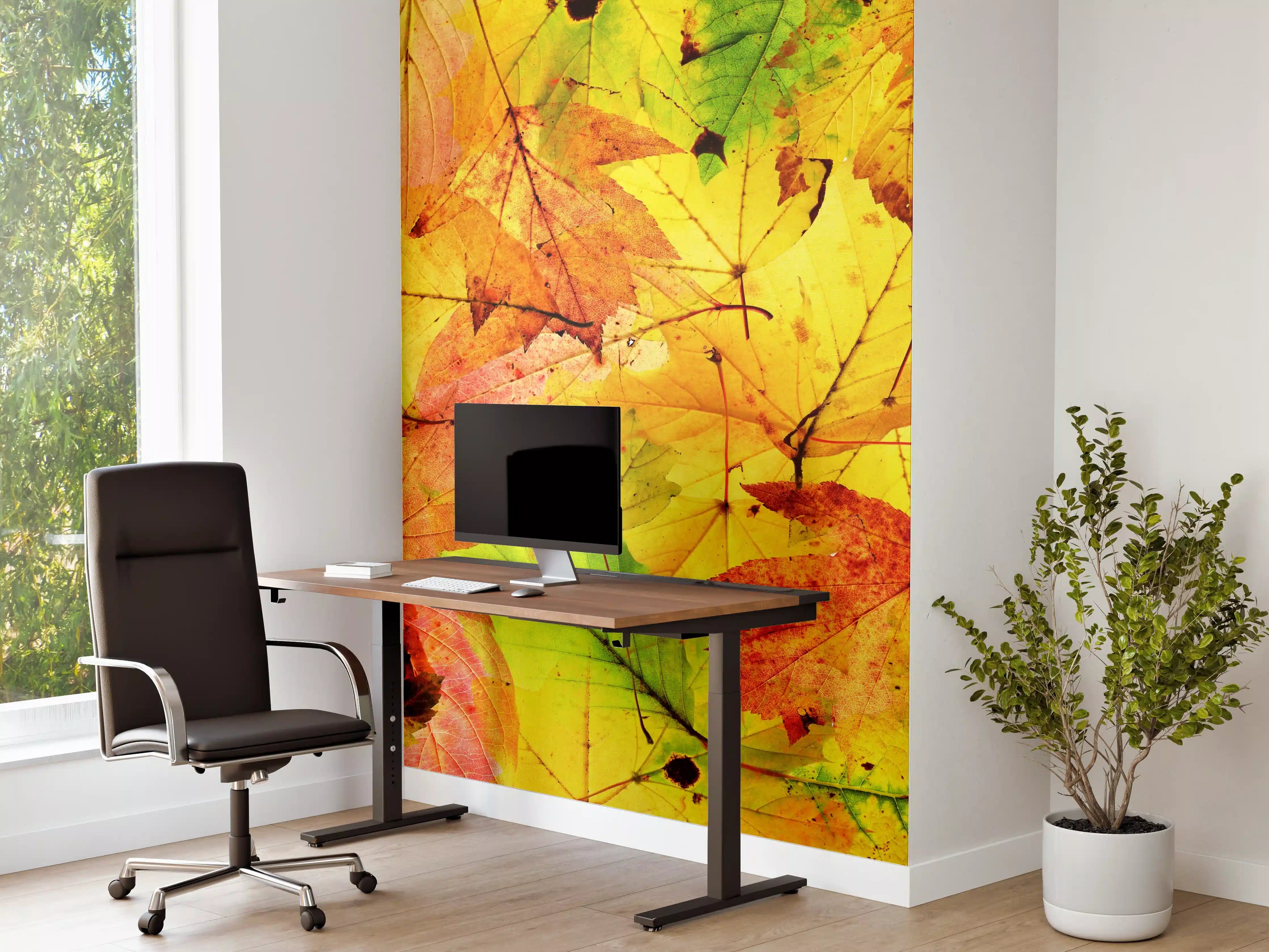 Büro Wandgestaltung - Herbstblätter Hintergrund