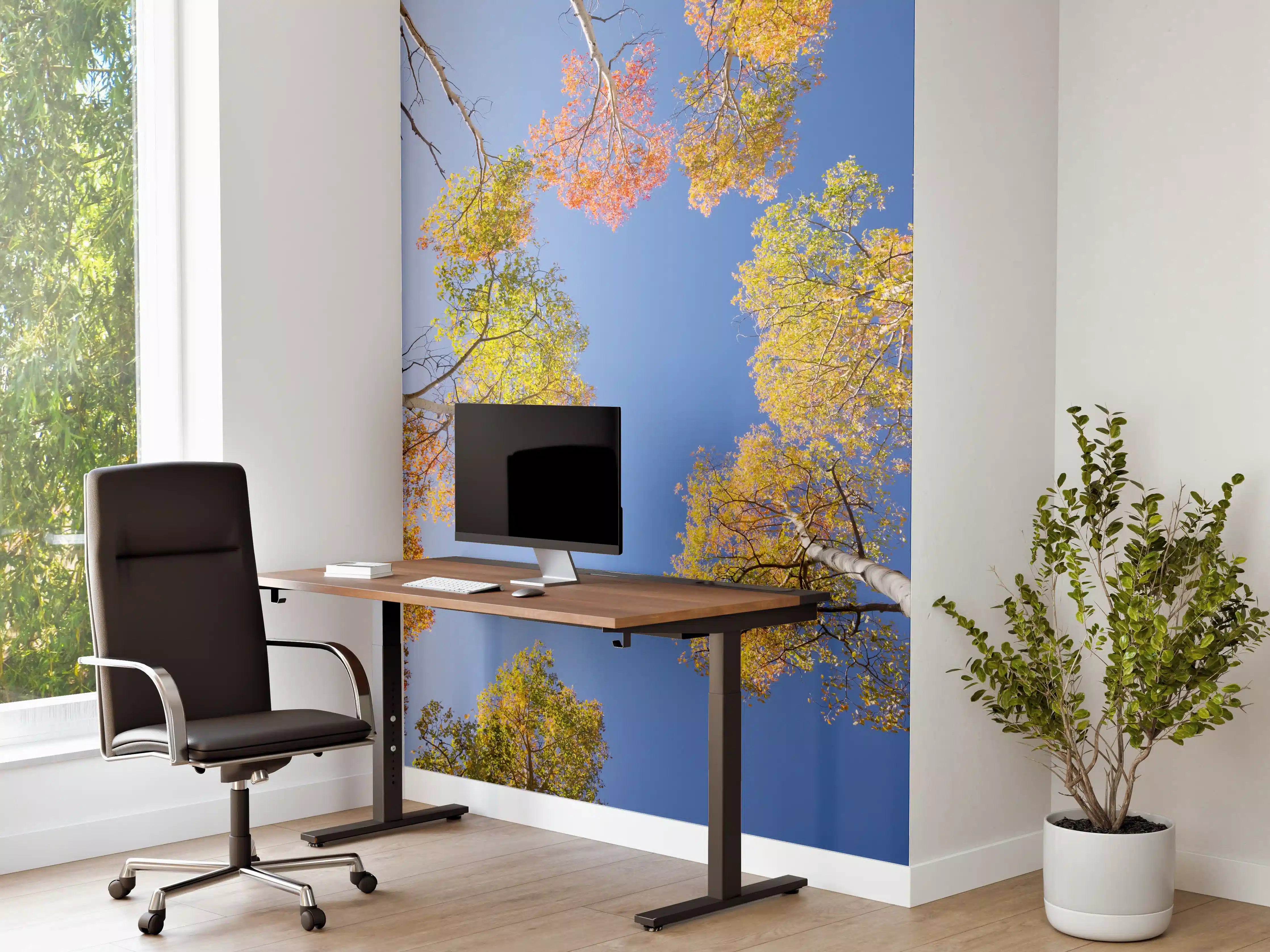 Büro Wandgestaltung - Herbstliche Birken
