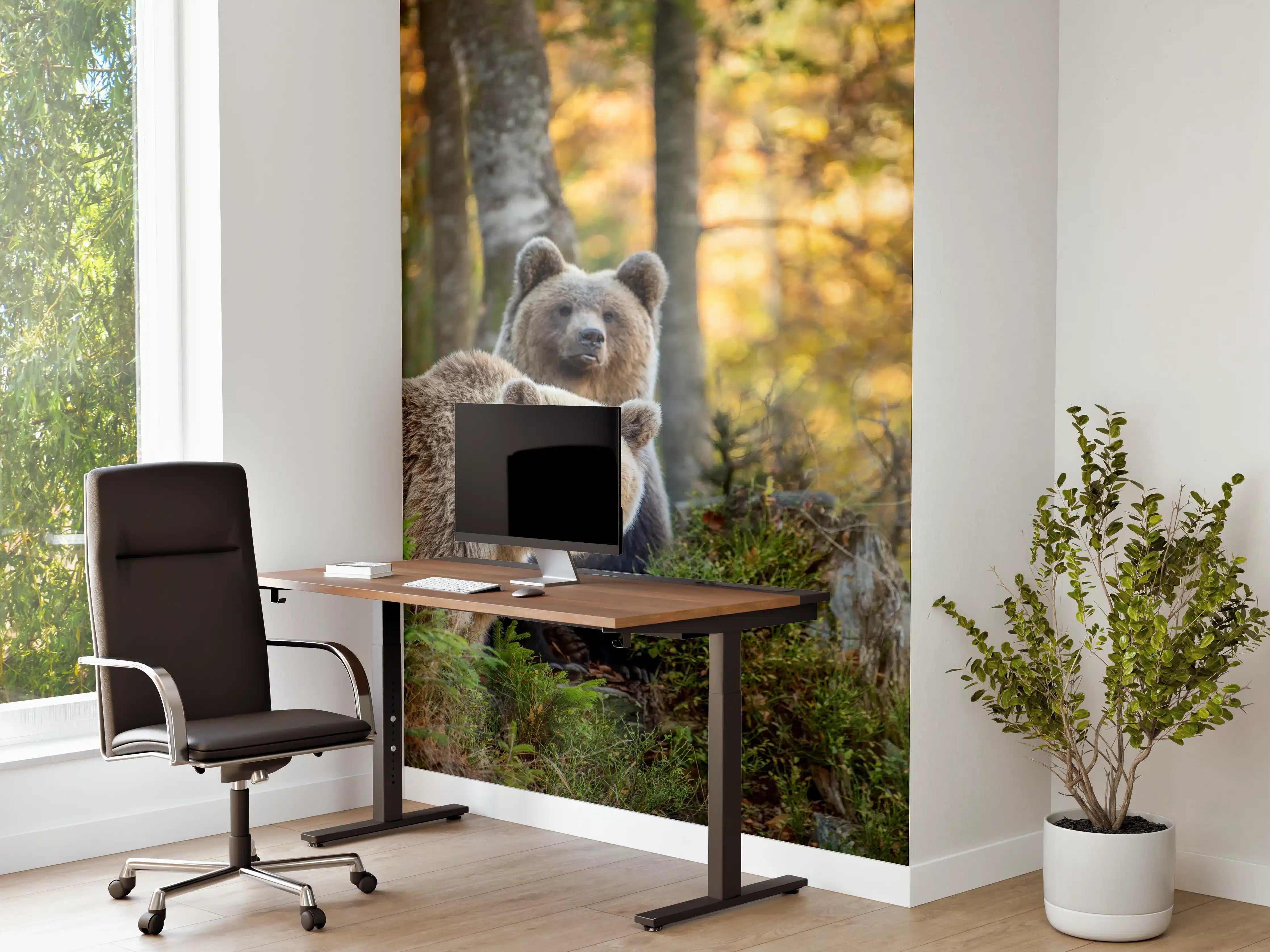 Büro Wandgestaltung - Herbstlicher Braunbär im Wald