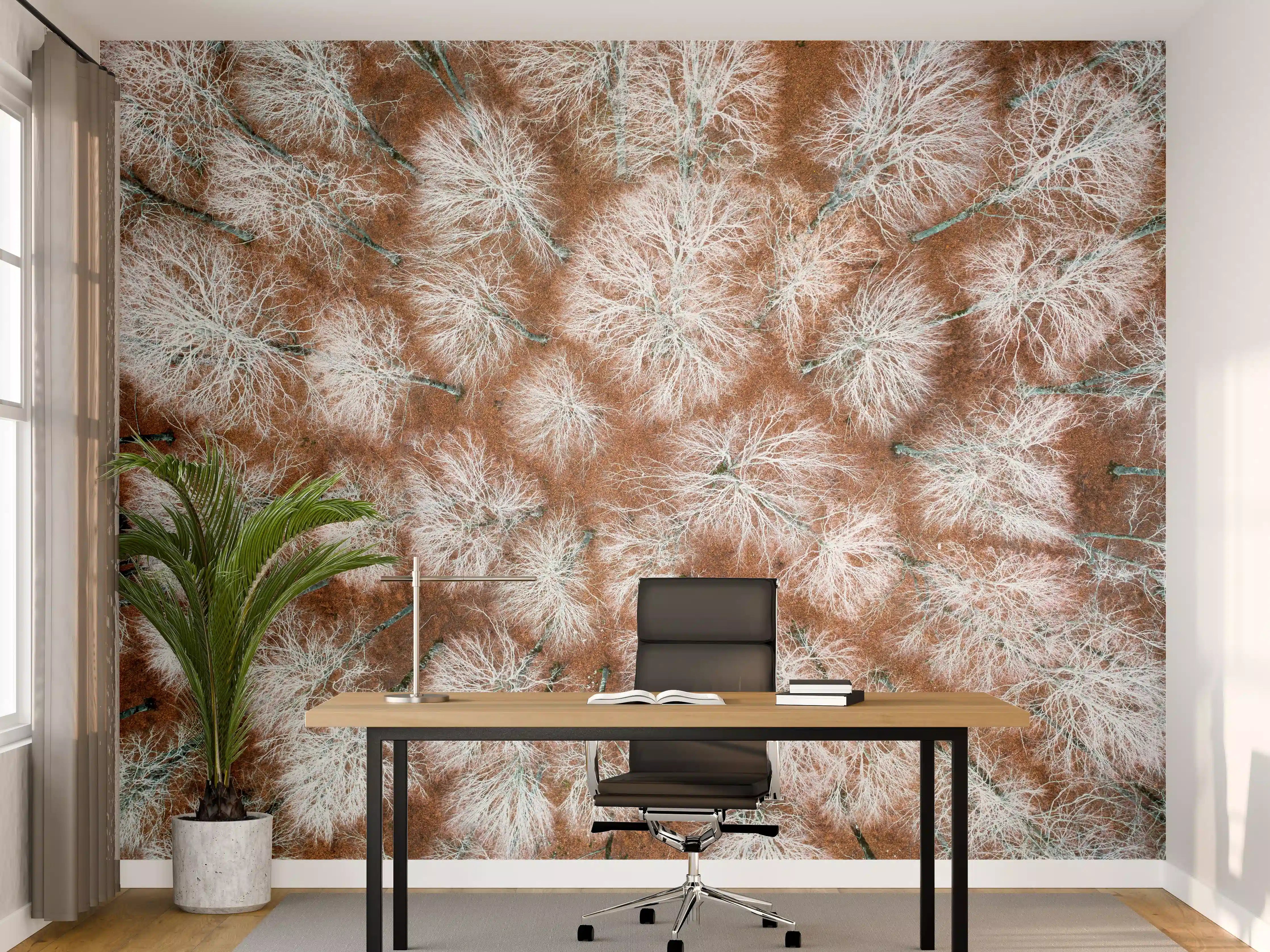 Büro Wandgestaltung - Herbstlicher Wald aus der Vogelperspektive