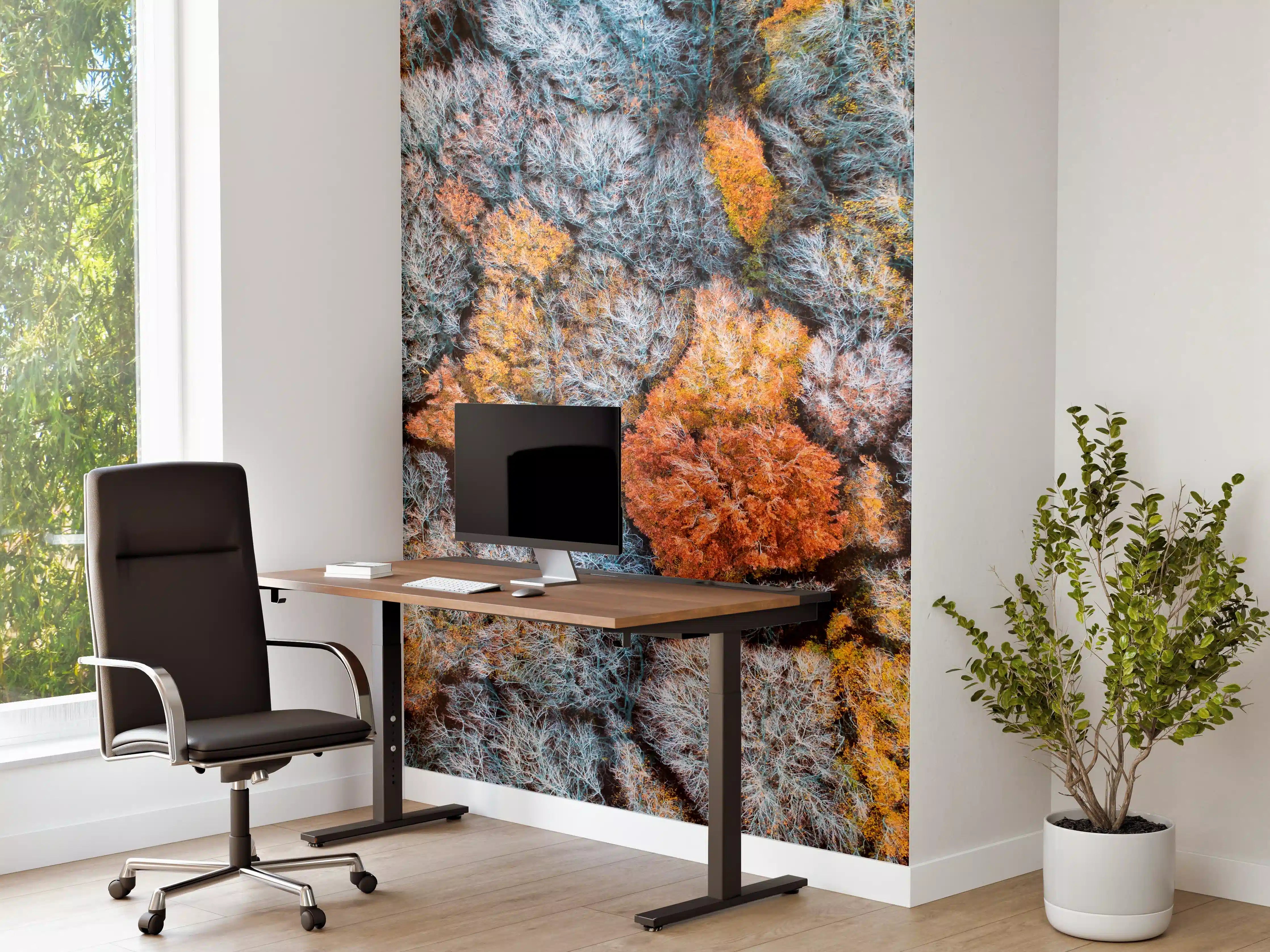 Büro Wandgestaltung - Herbstwald aus der Vogelperspektive