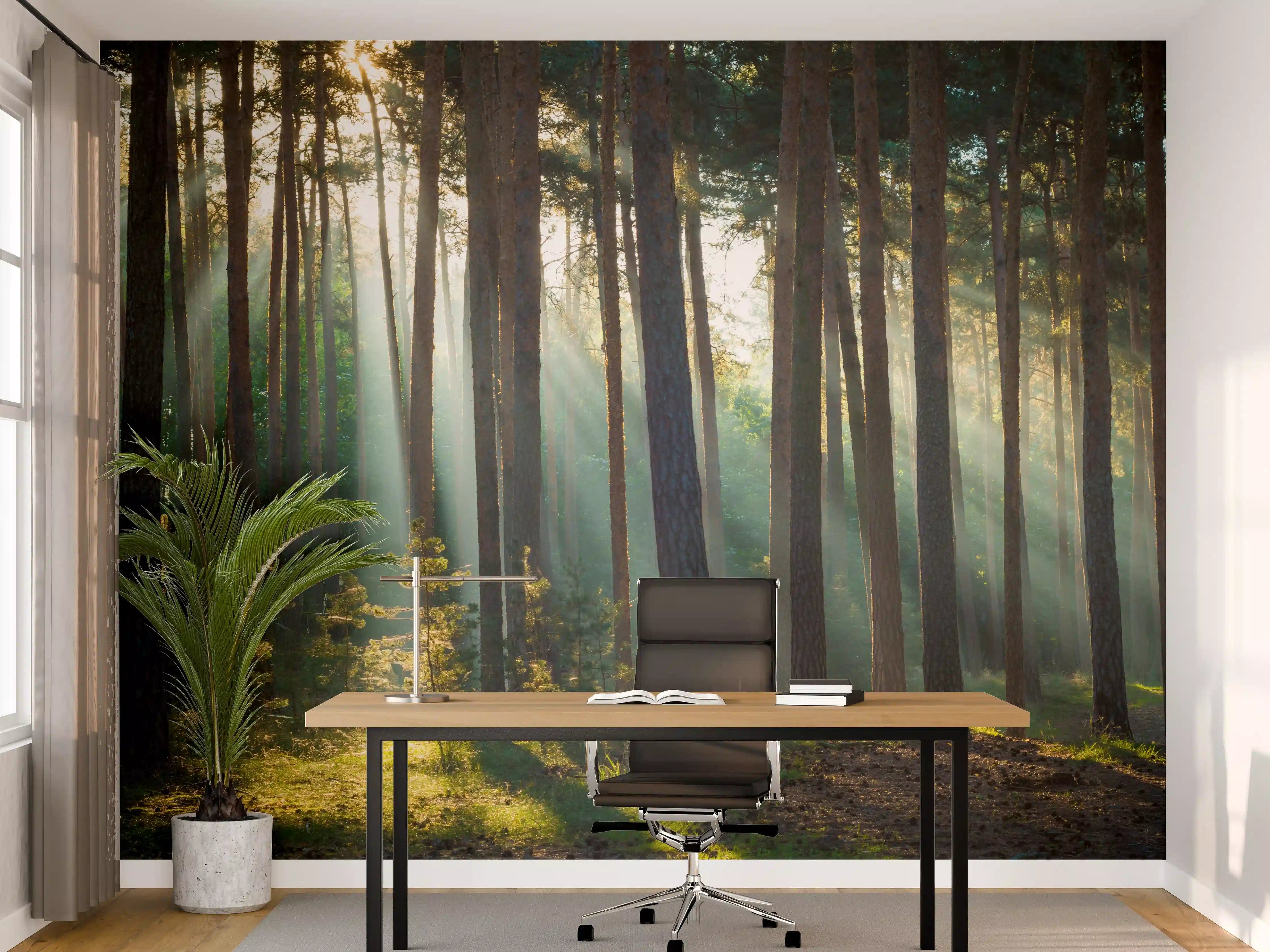 Büro Wandgestaltung - Herbstwald mit Sonnenstrahlen