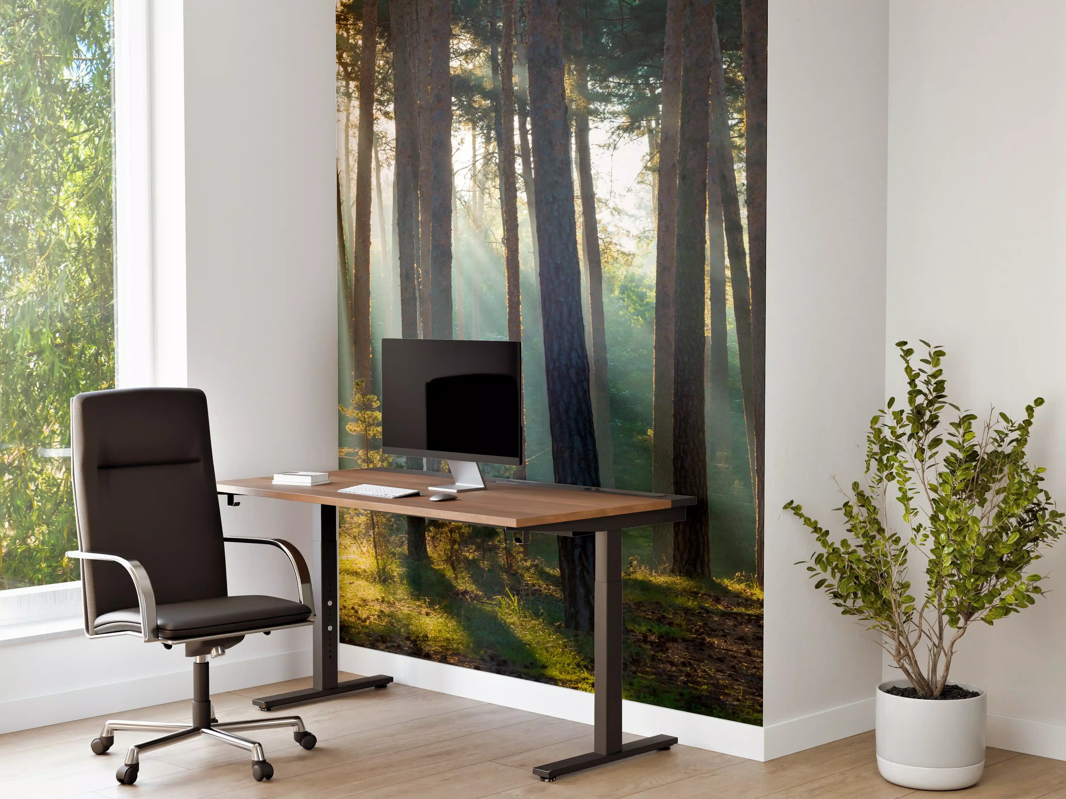 Büro Wandgestaltung - Herbstwald mit Sonnenstrahlen