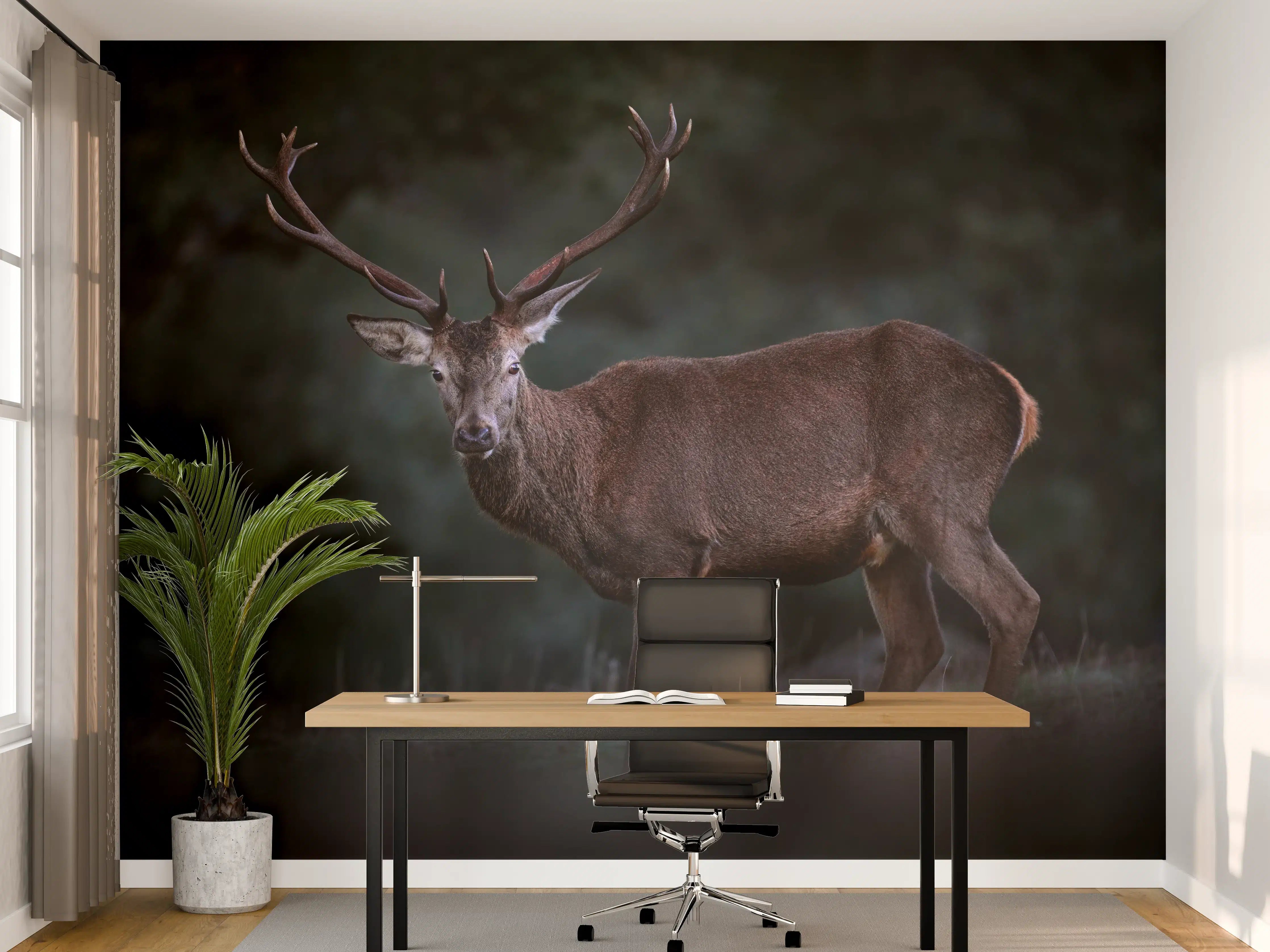 Büro Wandgestaltung - Hirsche Gebirge Sierra de Andujar