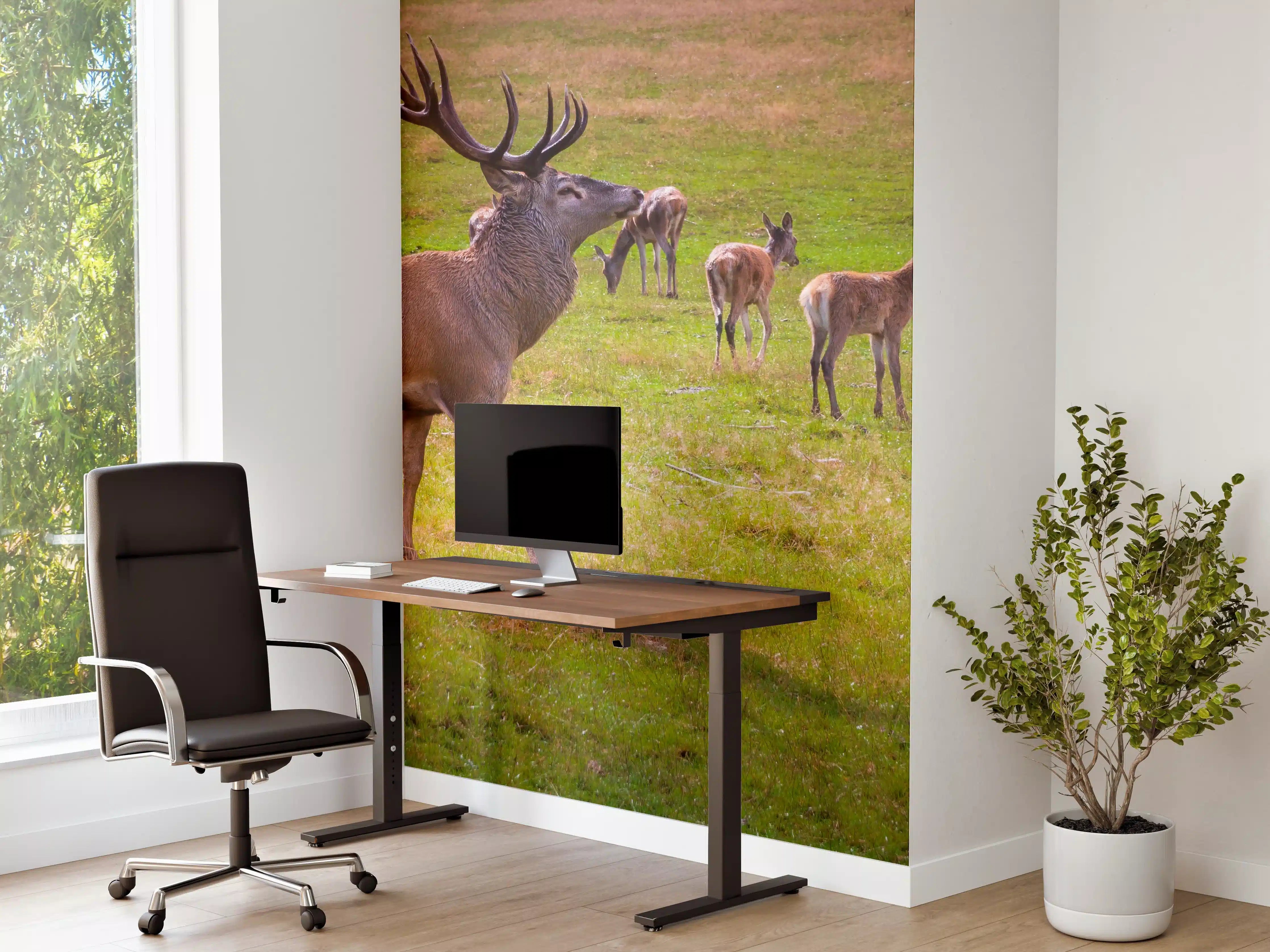 Büro Wandgestaltung - Hirschrudel auf grüner Wiese