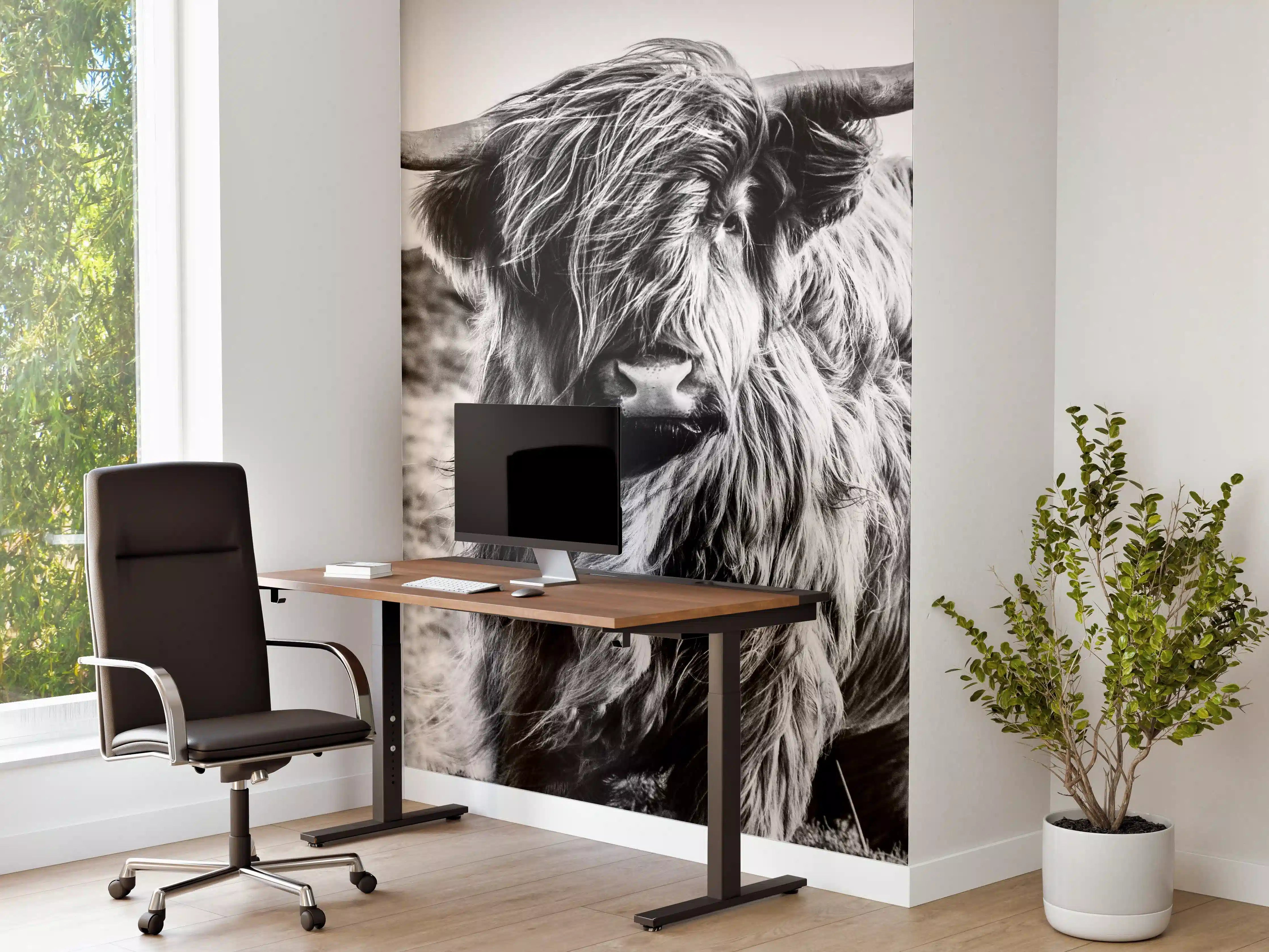 Büro Wandgestaltung - Hochlandkuh in Schwarz-weiß