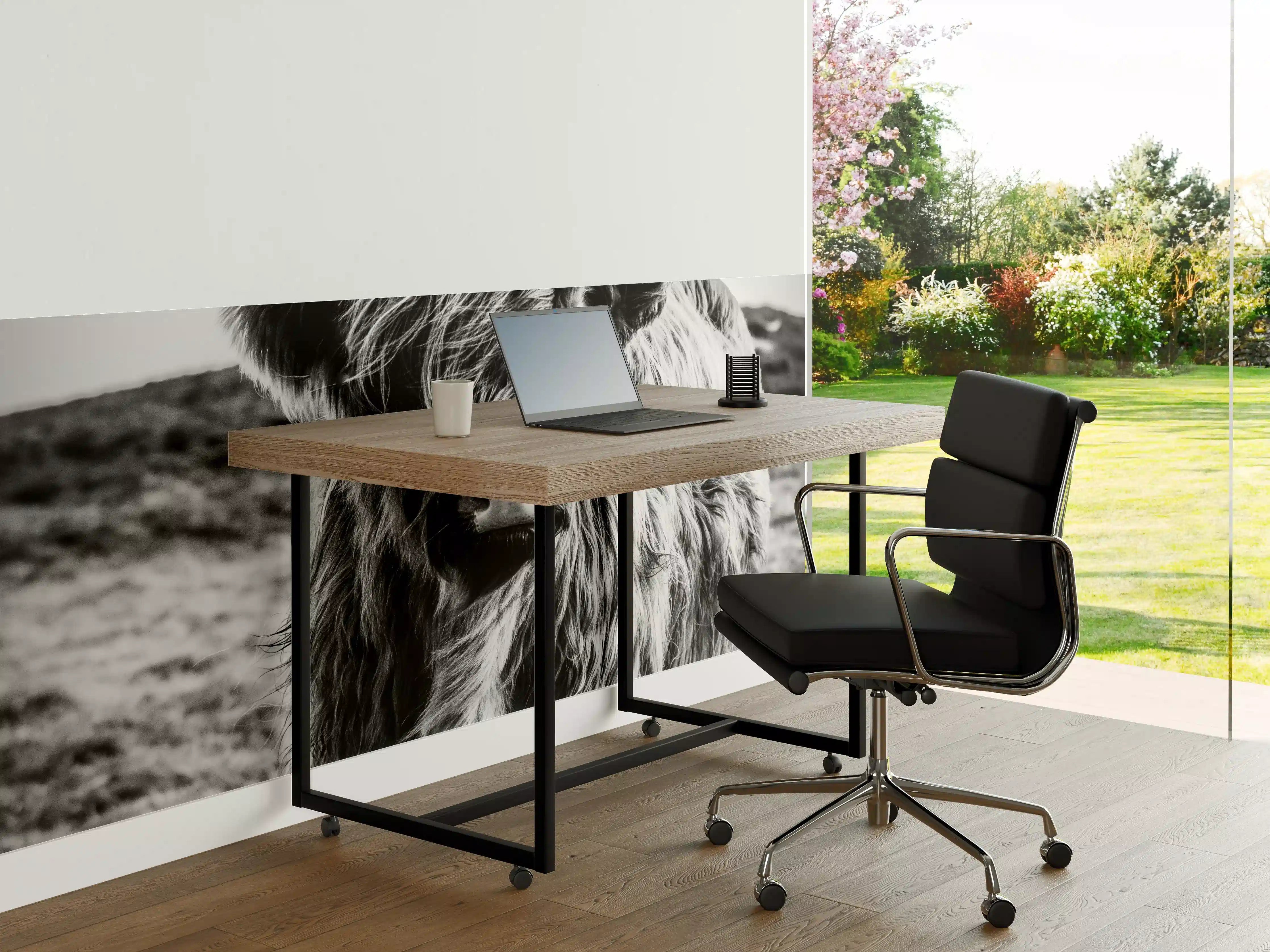 Büro Wandgestaltung - Hochlandkuh in Schwarz-weiß
