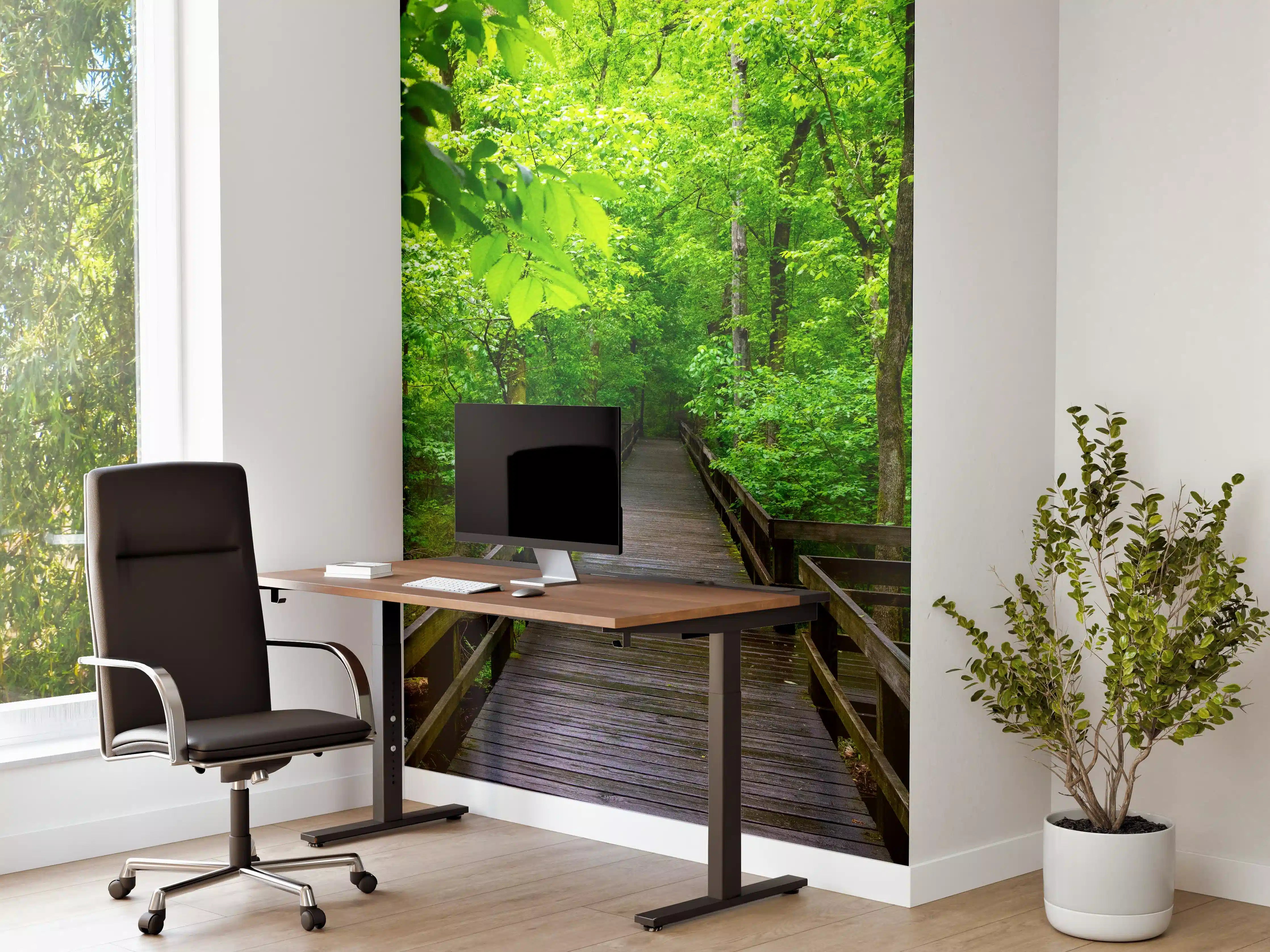 Büro Wandgestaltung - Holzbrücke im Wald - Congaree Nationalpark