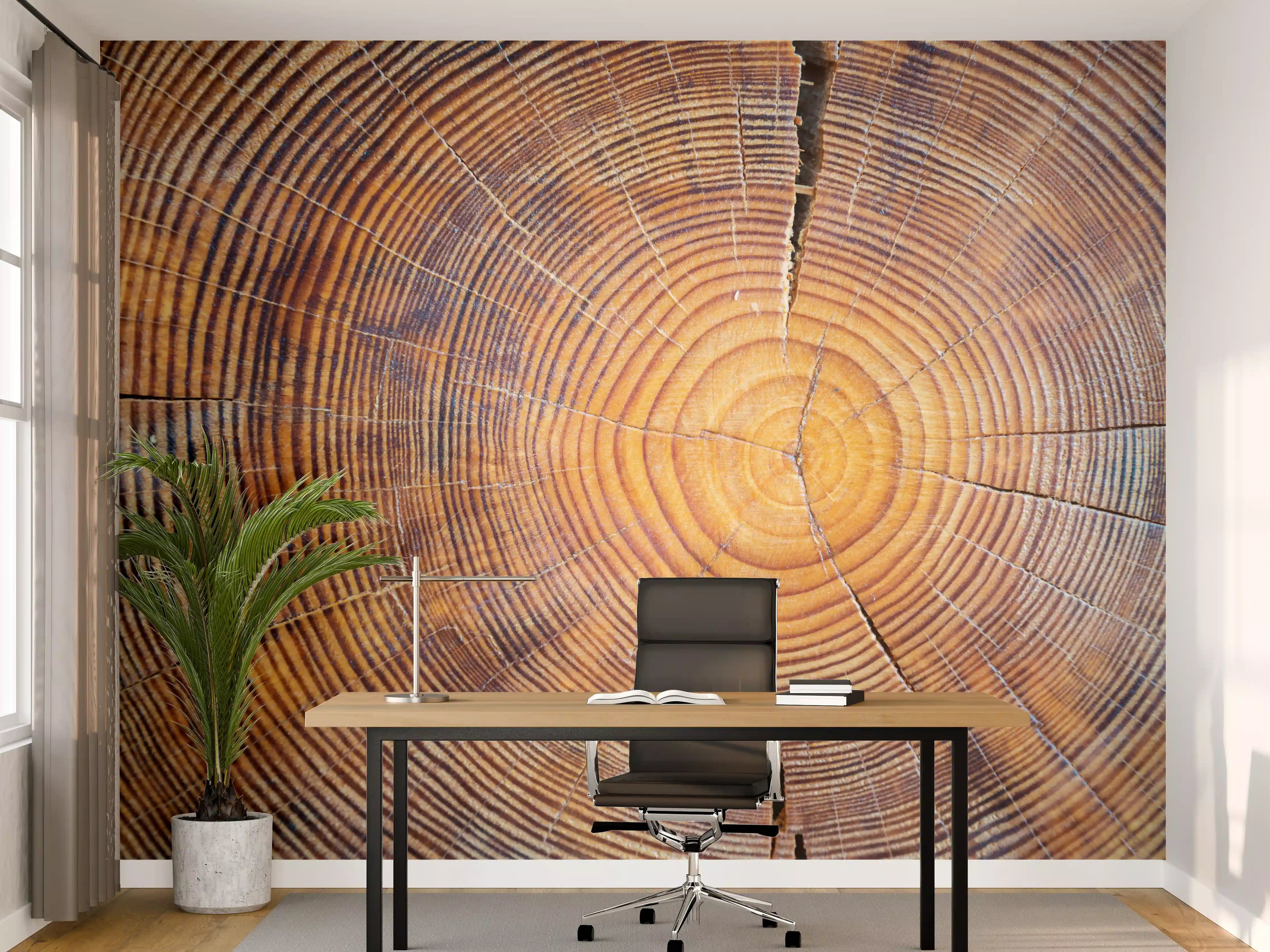 Büro Wandgestaltung - Holzstruktur mit natürlichen Ringen