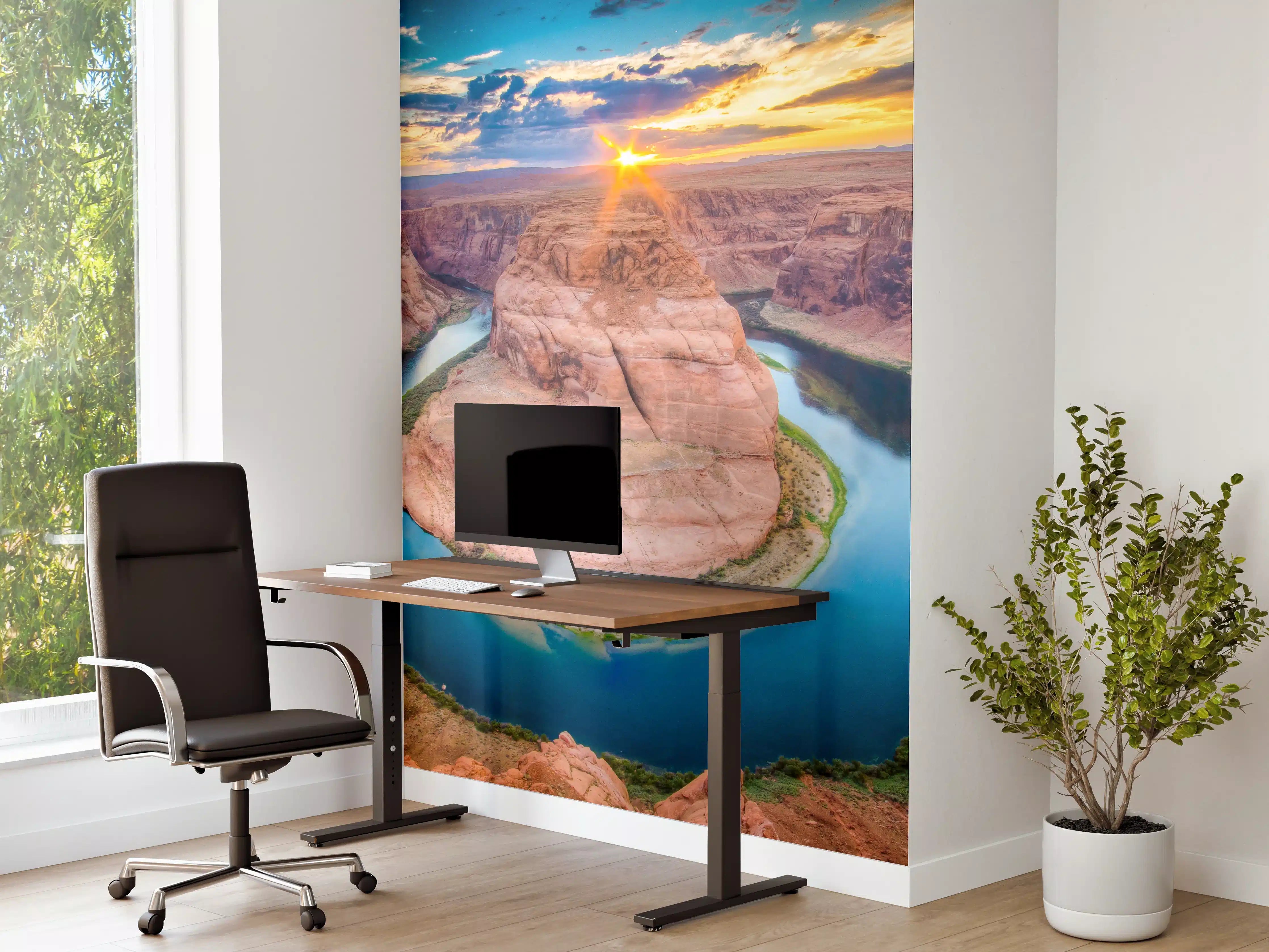 Büro Wandgestaltung - Horseshoe Bend - Arizona