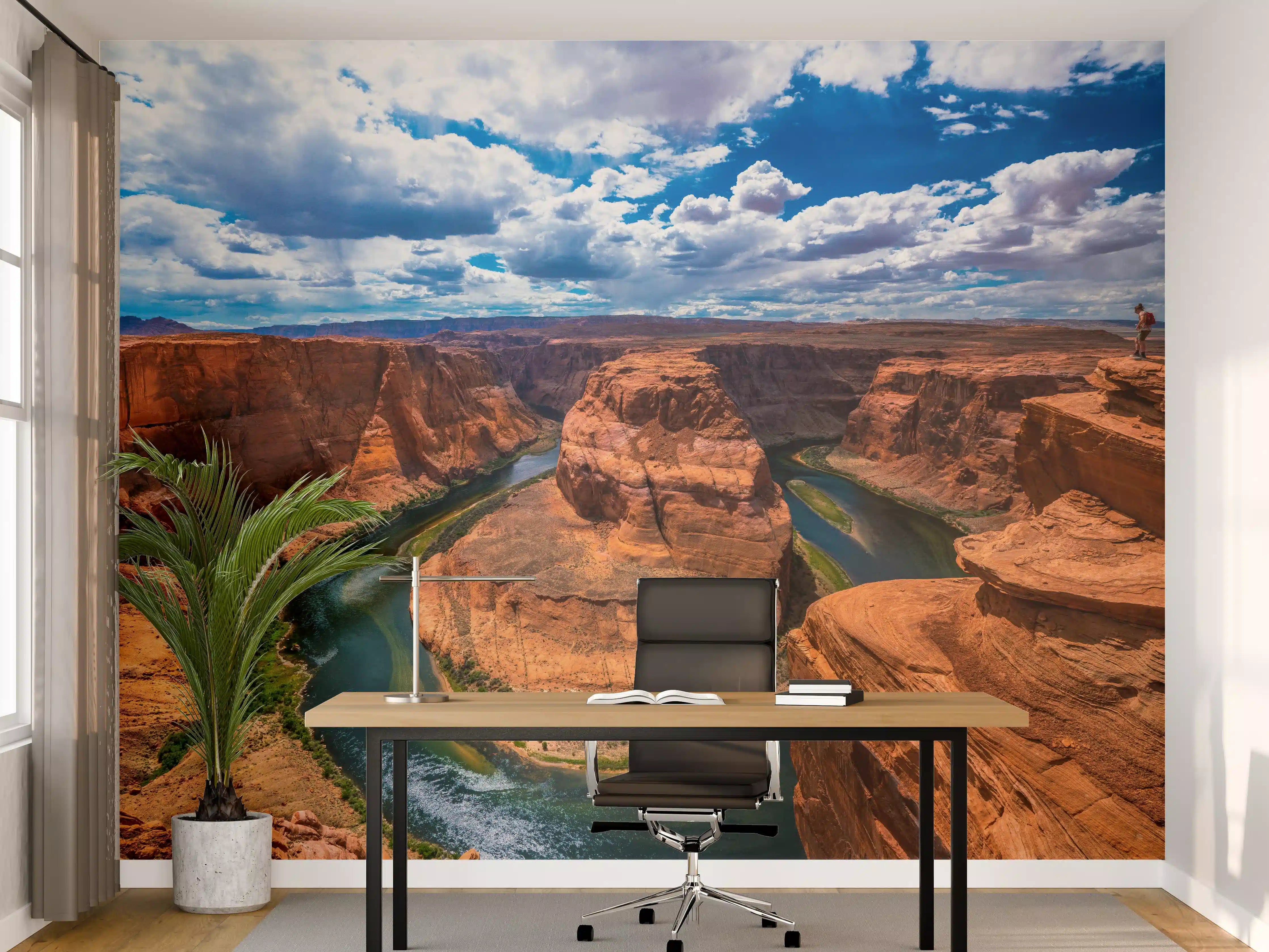 Büro Wandgestaltung - Horseshoe Bend Tal in Arizona bei Tag