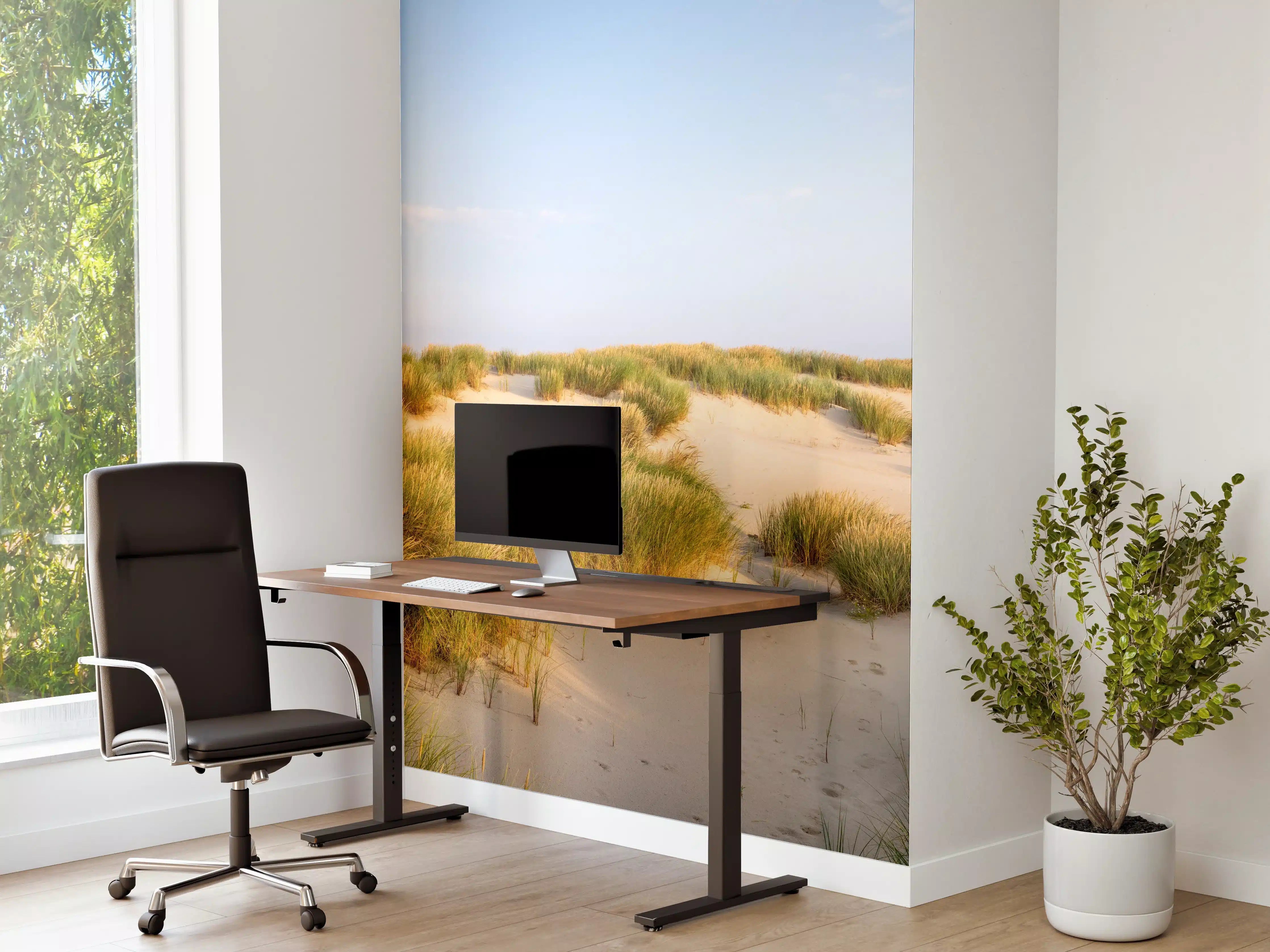 Büro Wandgestaltung - Idyllische Dünenlandschaft mit goldenem Gras