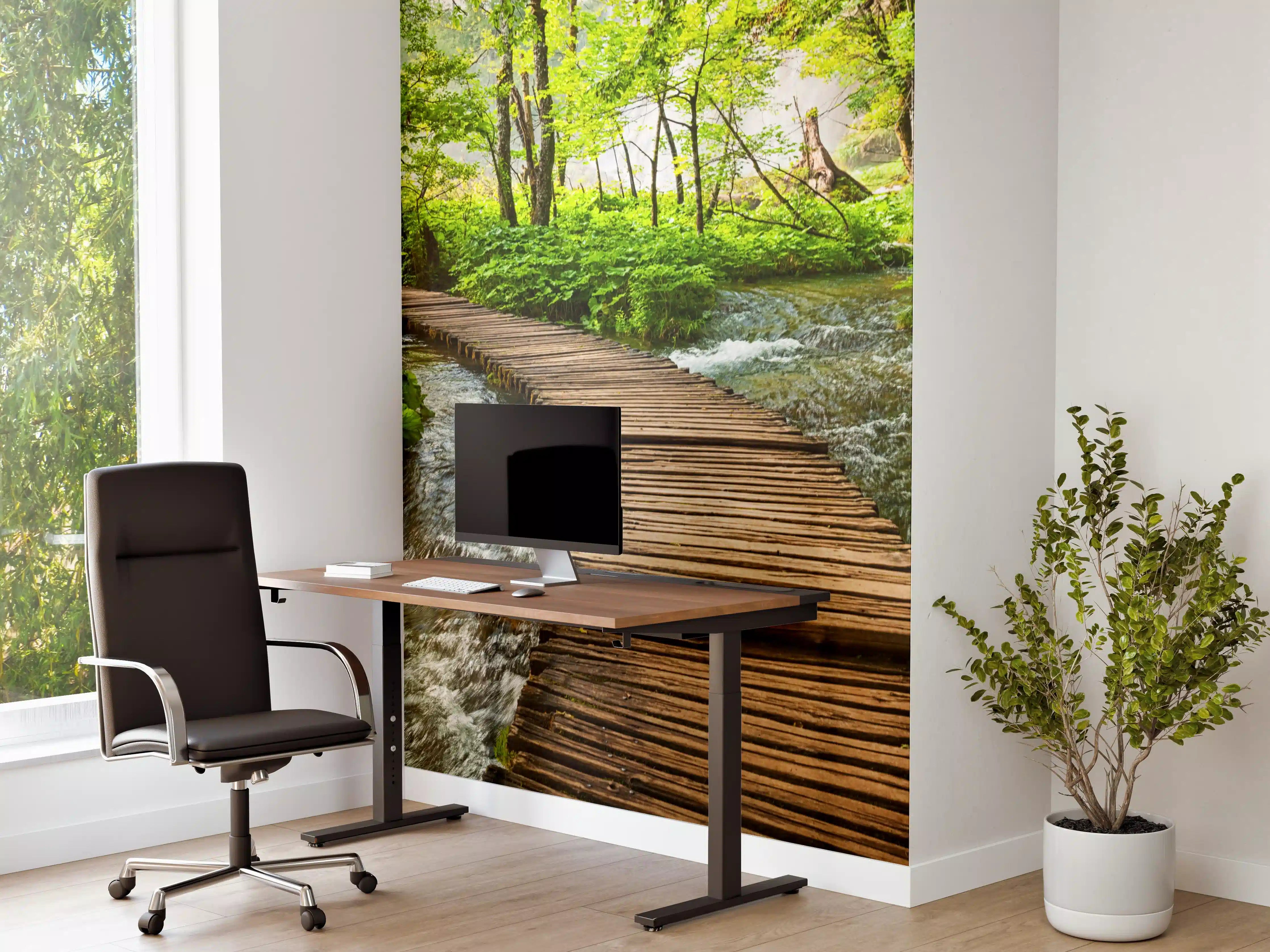 Büro Wandgestaltung - Idyllischer Dschungelpfad - Kroatien