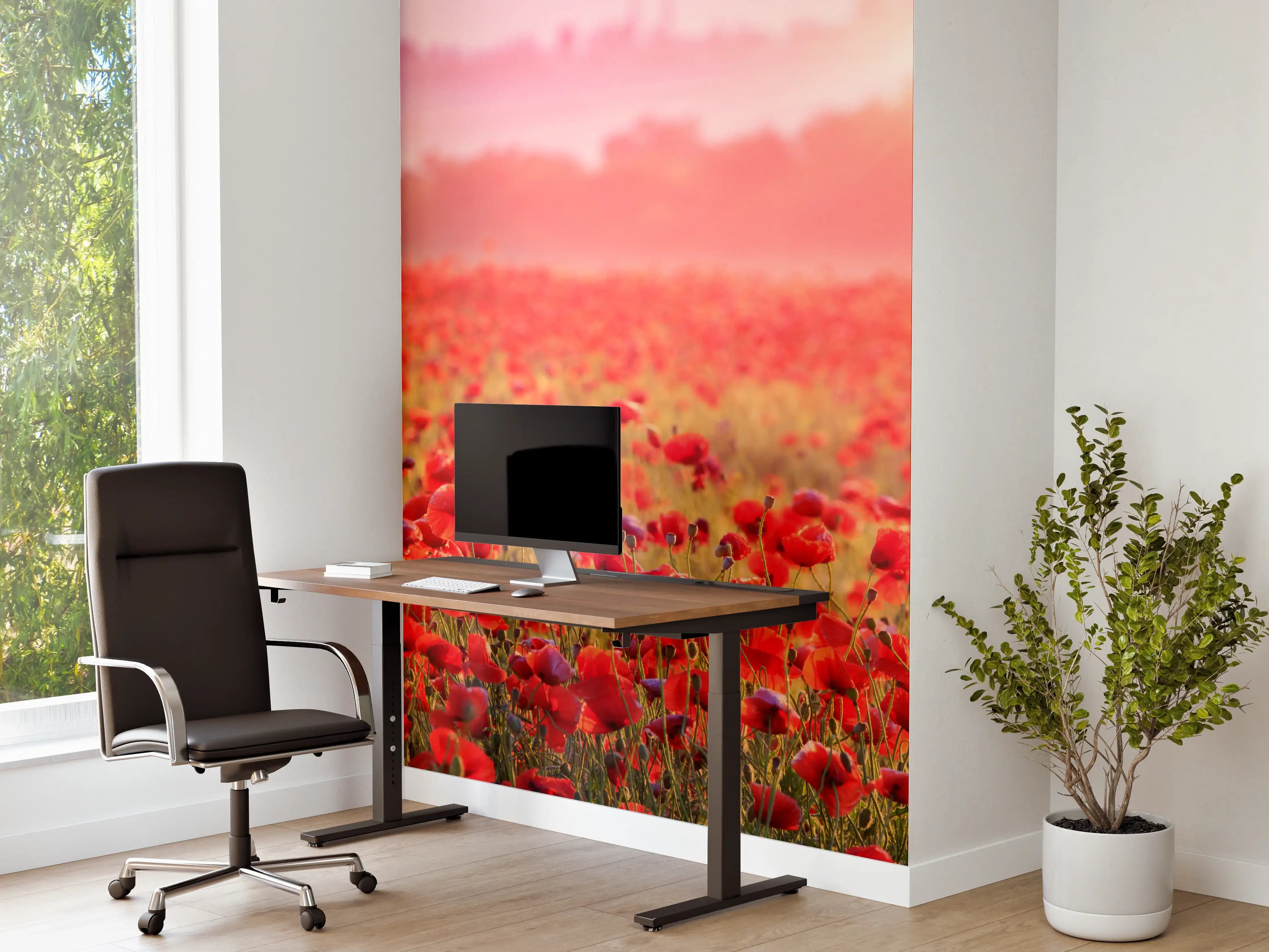Büro Wandgestaltung - Idyllisches Mohnfeld bei Sonnenuntergang