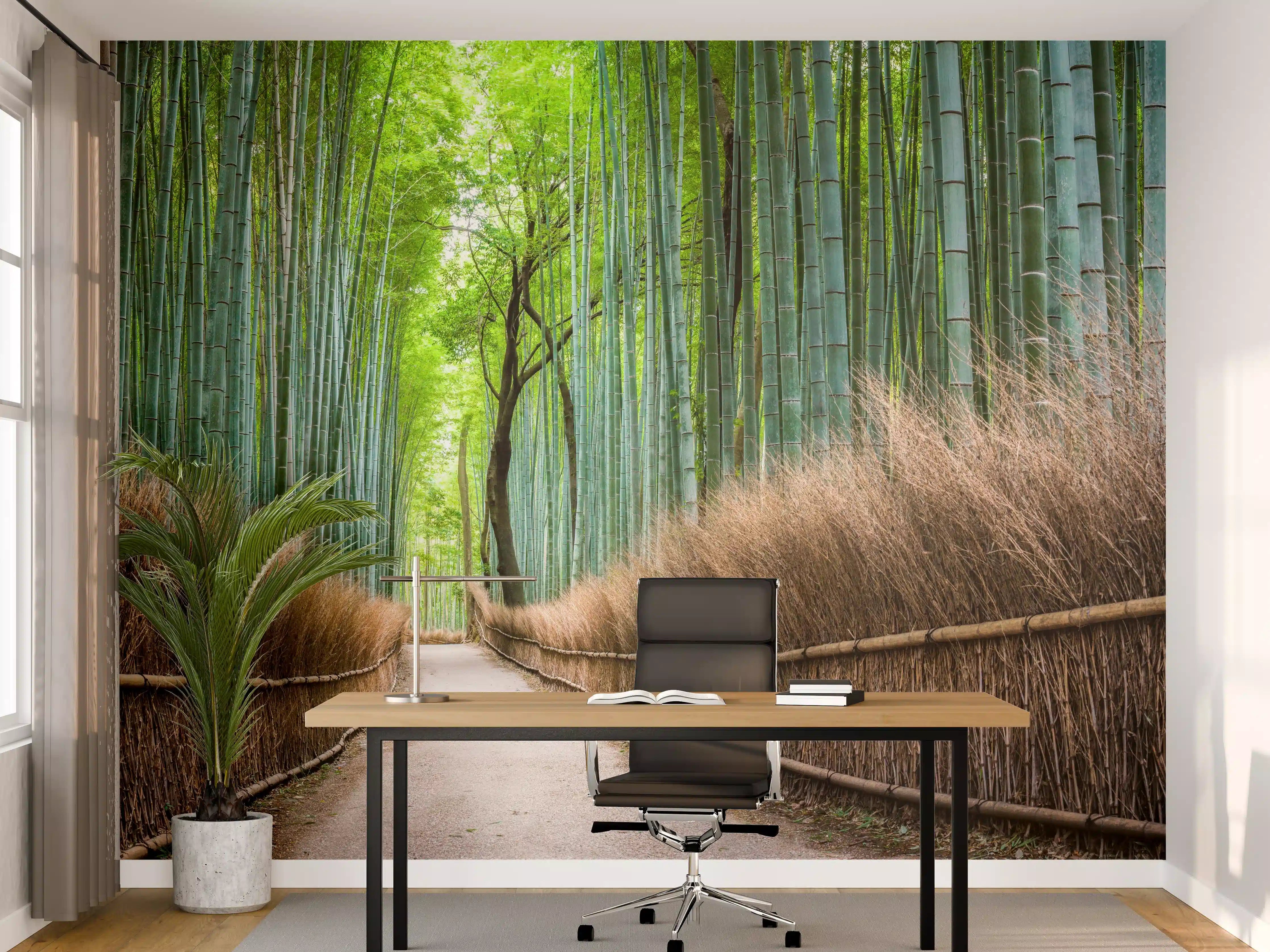 Büro Wandgestaltung - Japanischer Bambuswald in Arashiyama