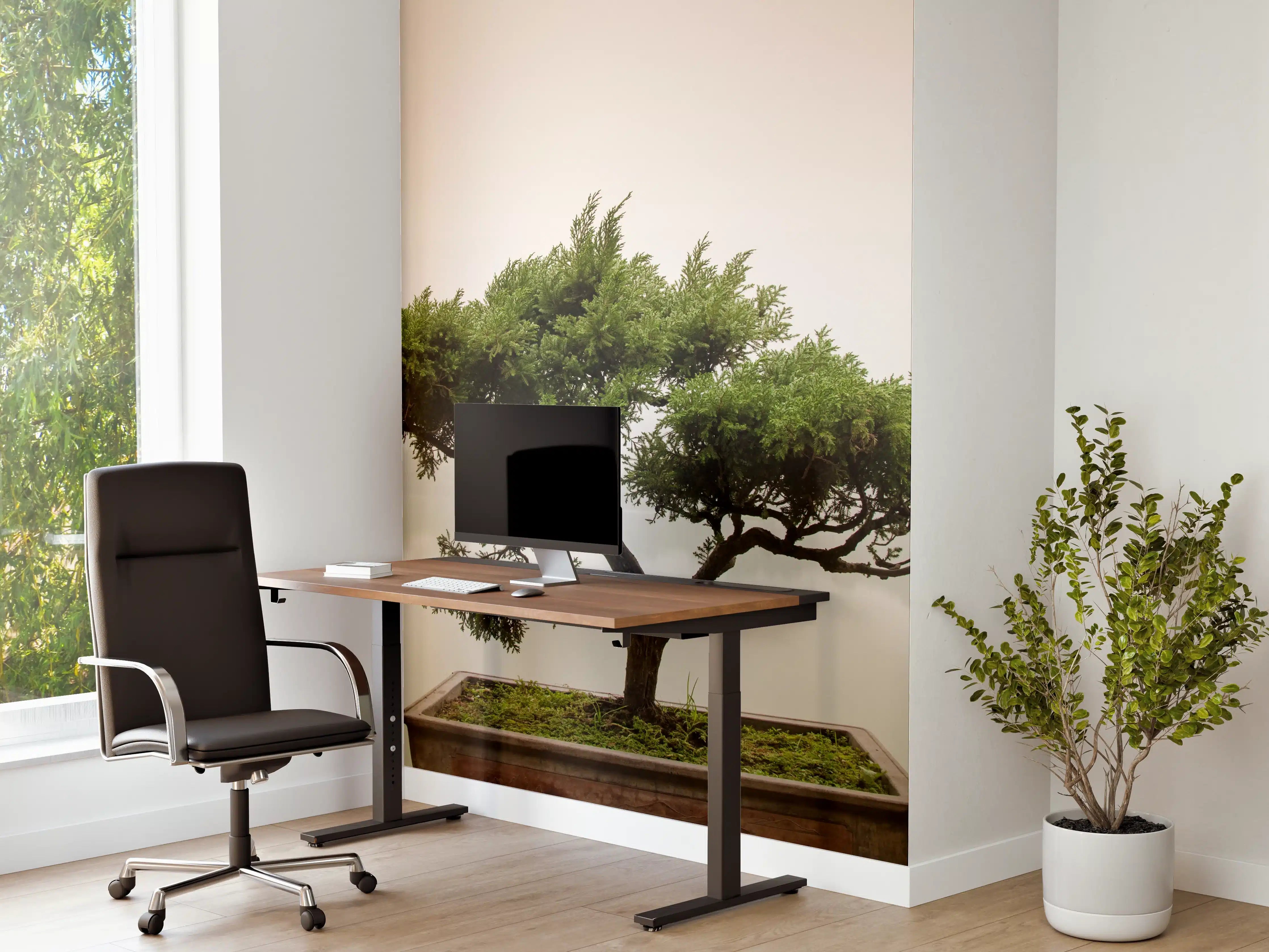 Büro Wandgestaltung - Japanischer Bonsaibaum im Topf 