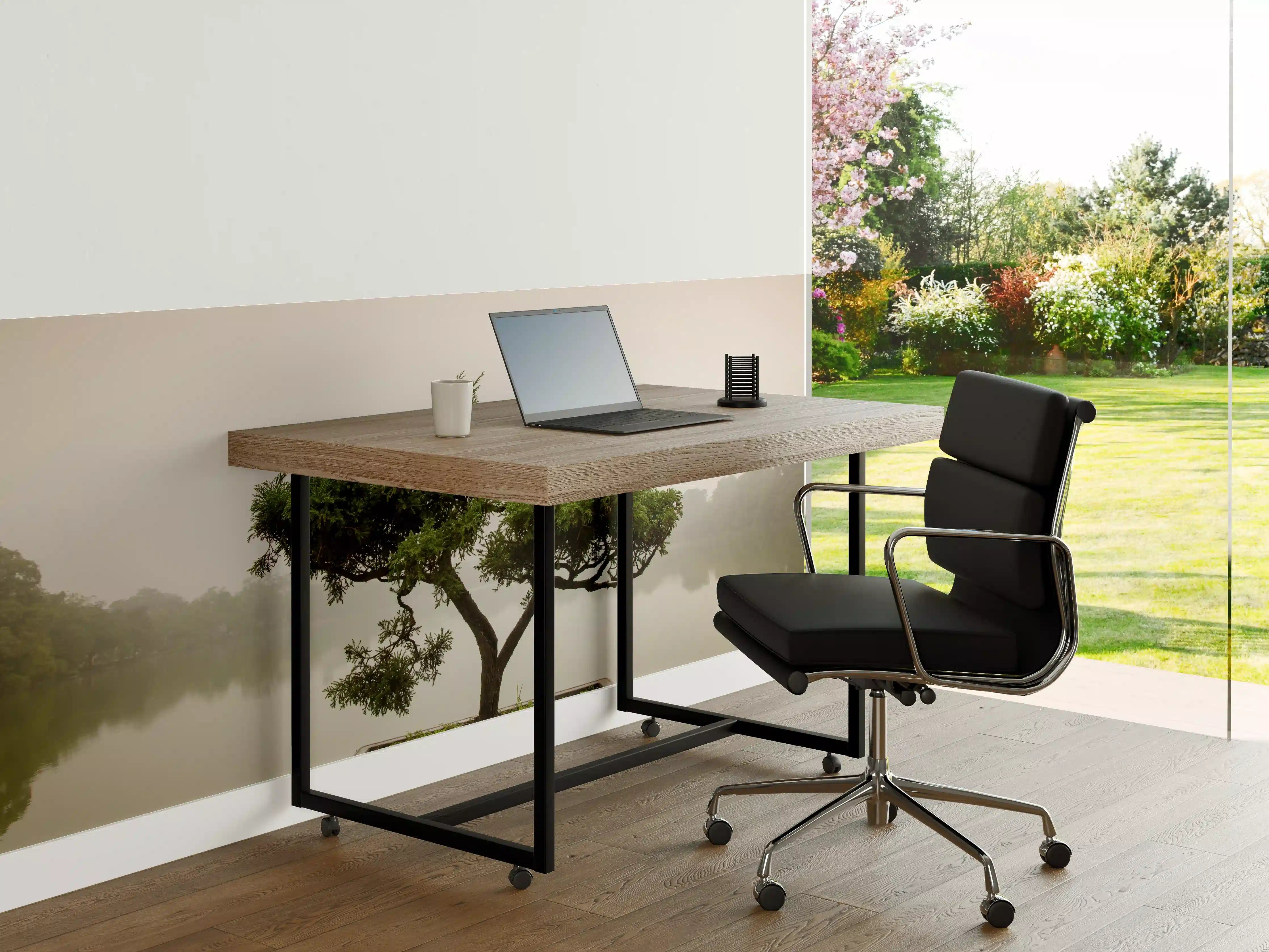 Büro Wandgestaltung - Japanischer Bonsaibaum im Topf 
