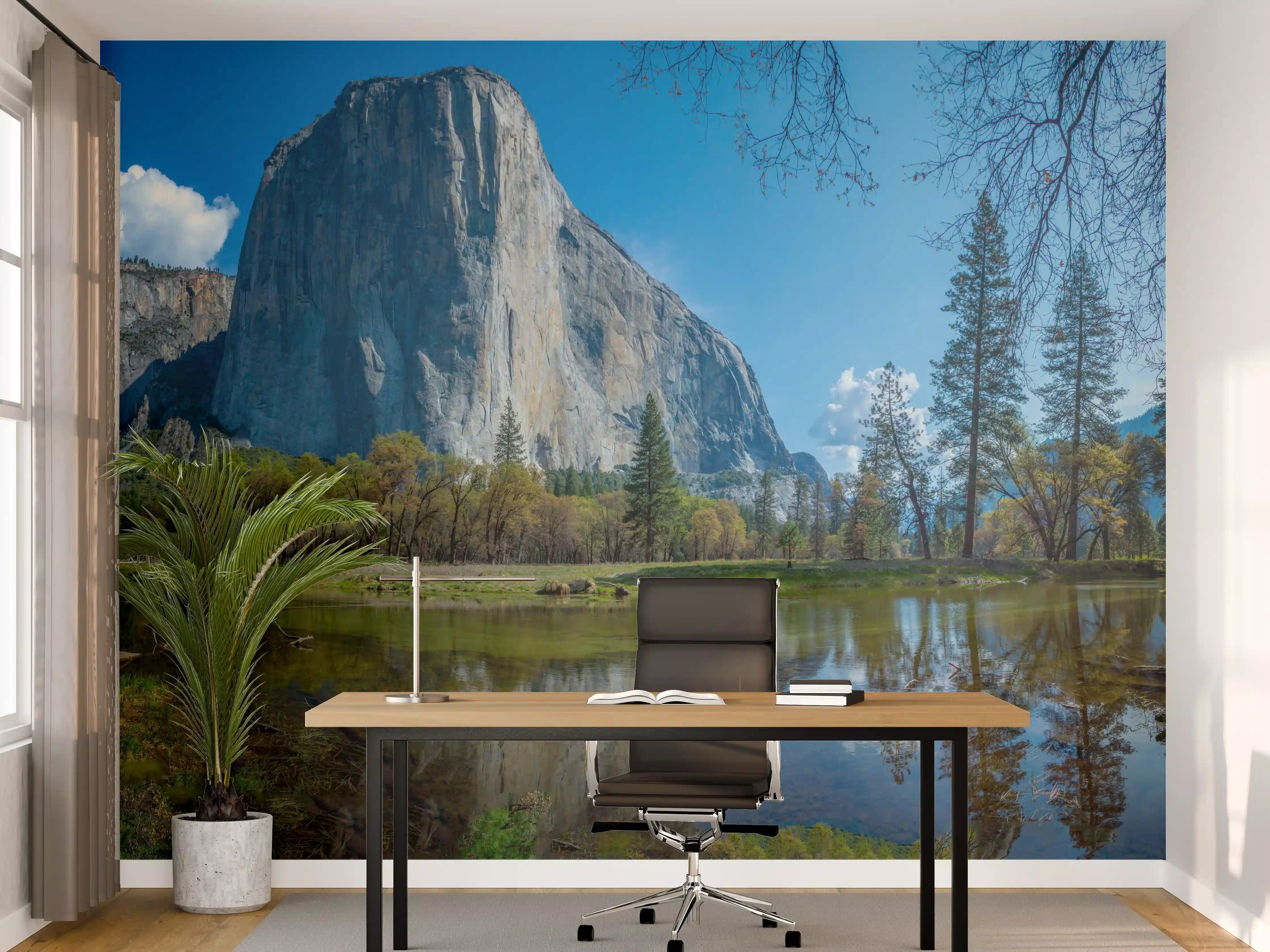 Büro Wandgestaltung - Kalifornische Berge