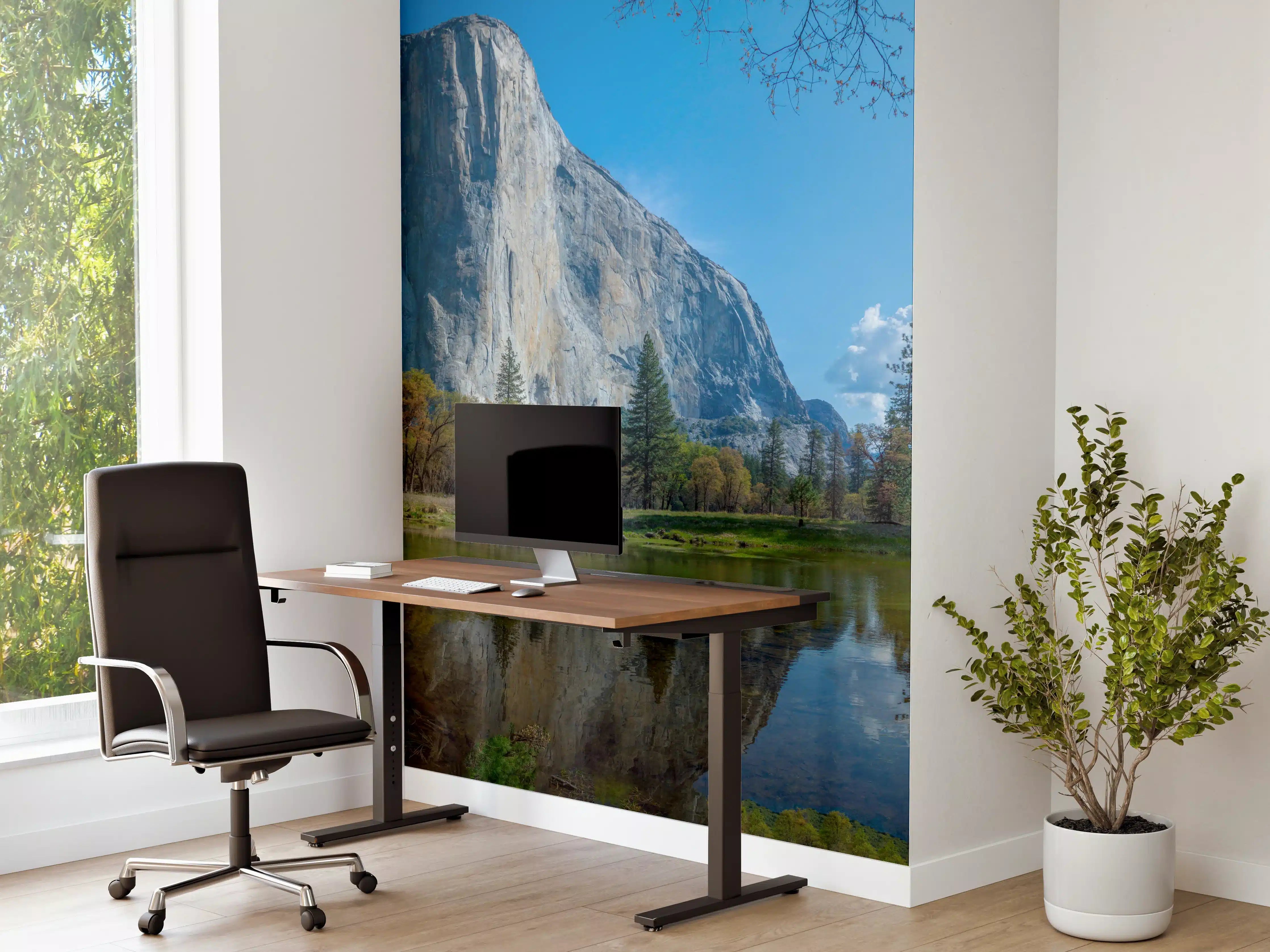 Büro Wandgestaltung - Kalifornische Berge
