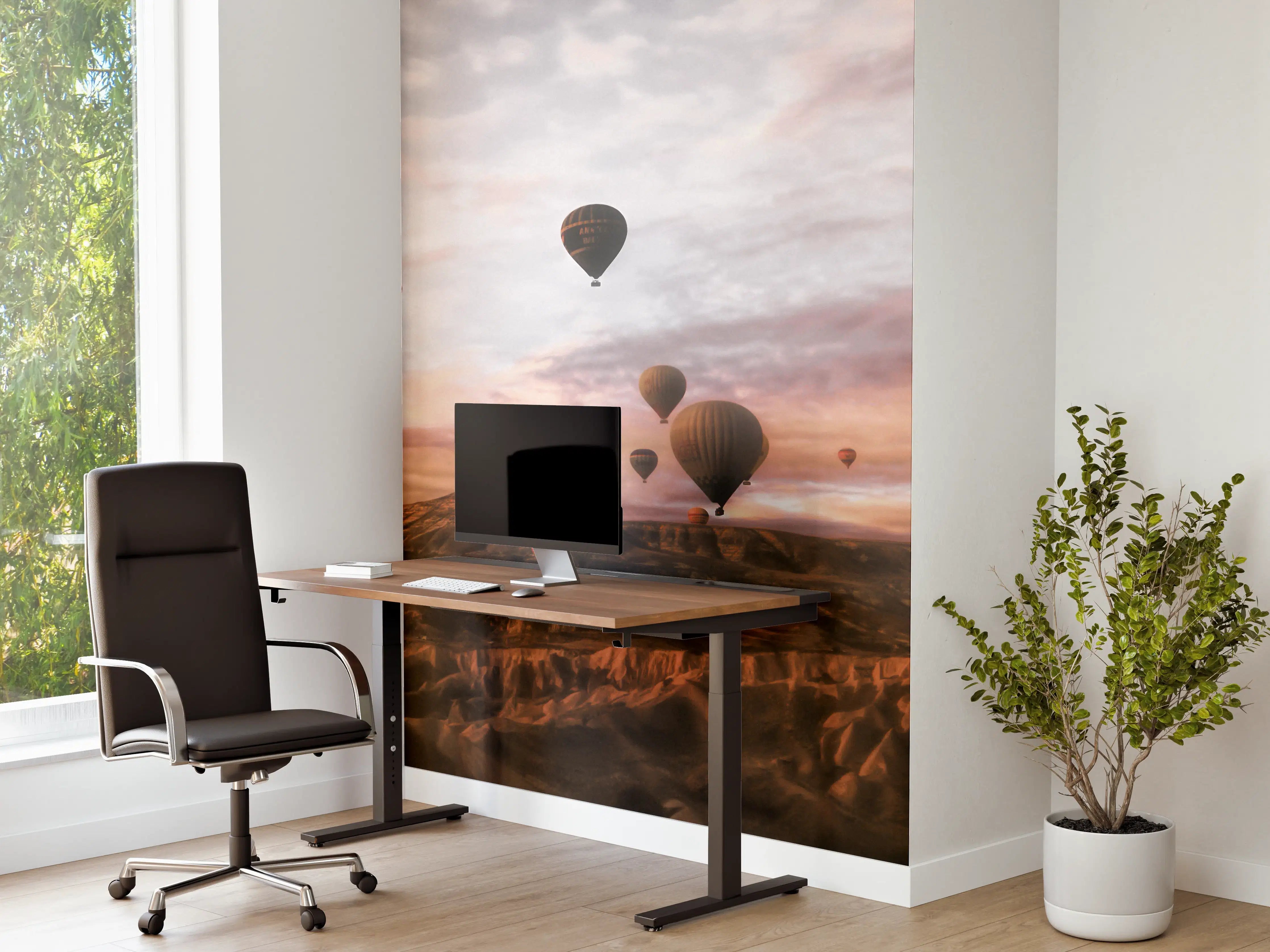Büro Wandgestaltung - Kappadokien - Heißluft Ballons