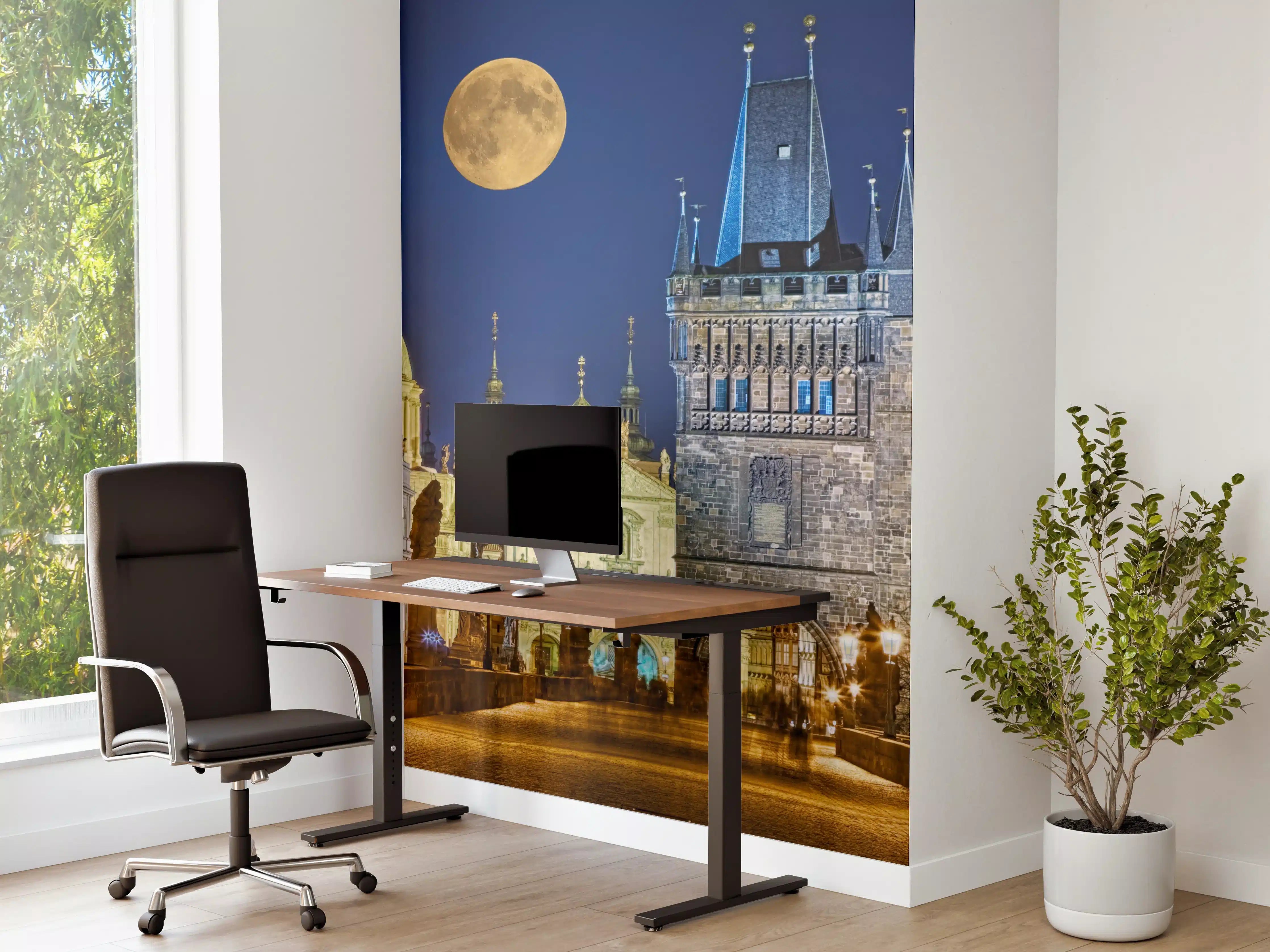 Büro Wandgestaltung - Karlsbrücke Prag beleuchtet