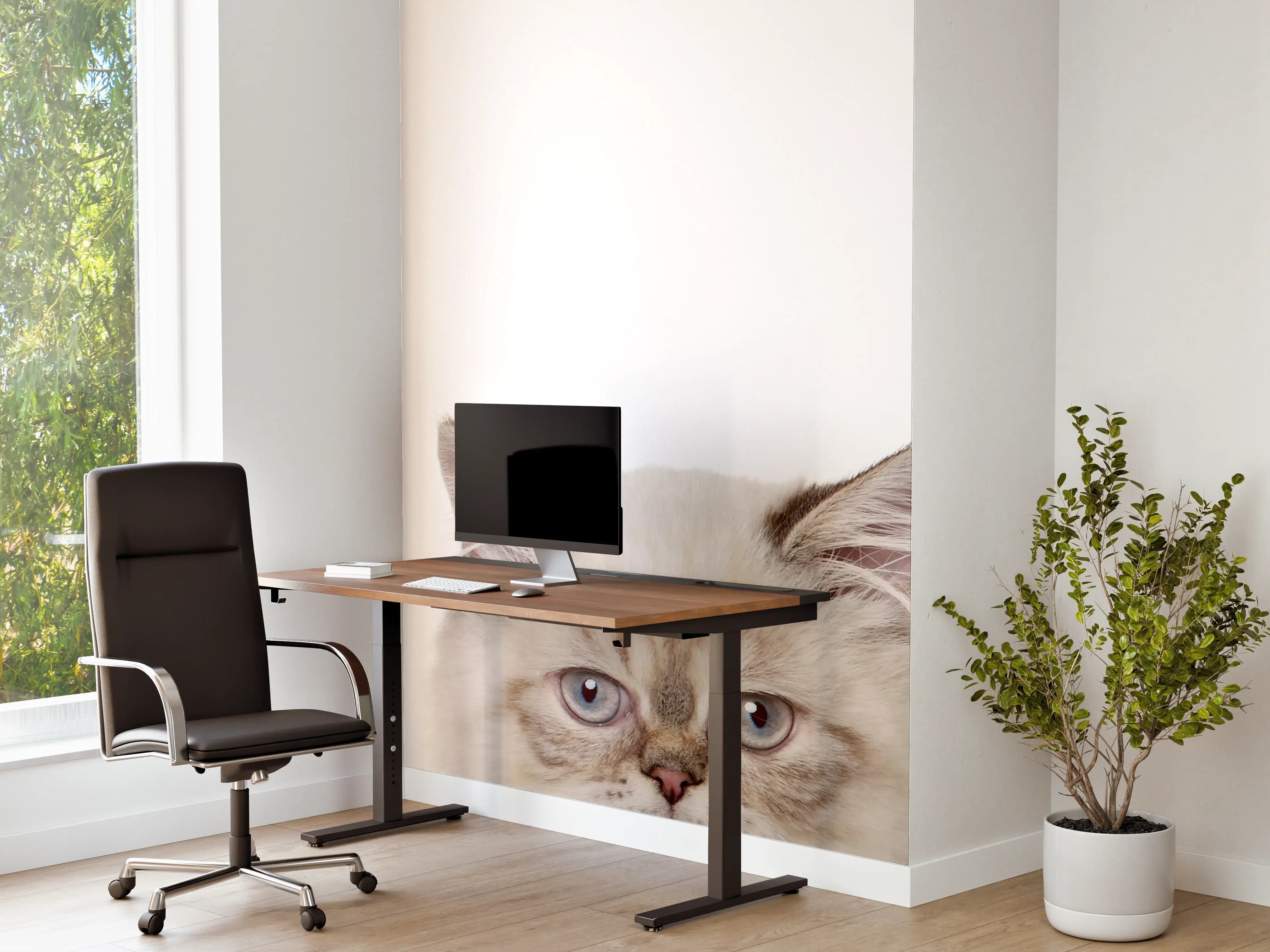 Büro Wandgestaltung - Katzen-Kopf-Reihe in Weiß-Grau